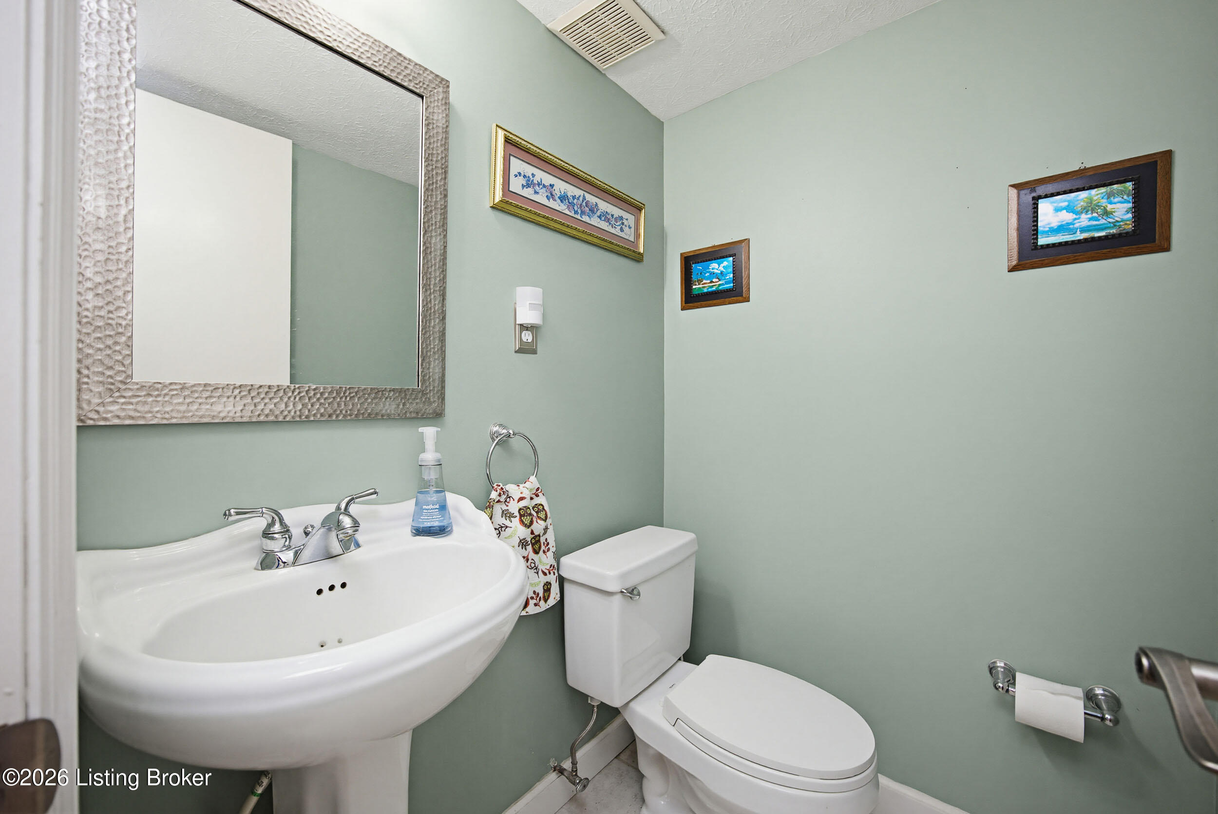165 Mayapple Ln Property Photo 20