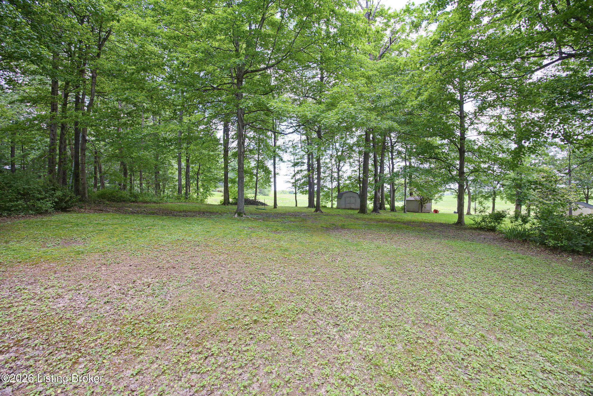 165 Mayapple Ln Property Photo 42