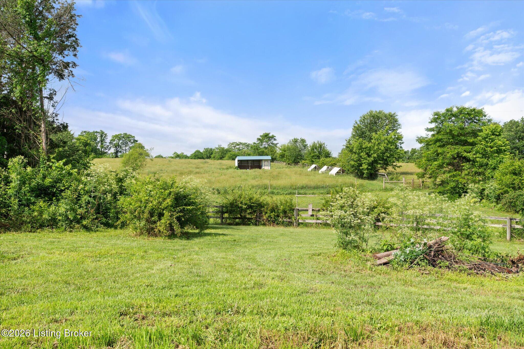 1167 New Cut Rd Property Photo 9