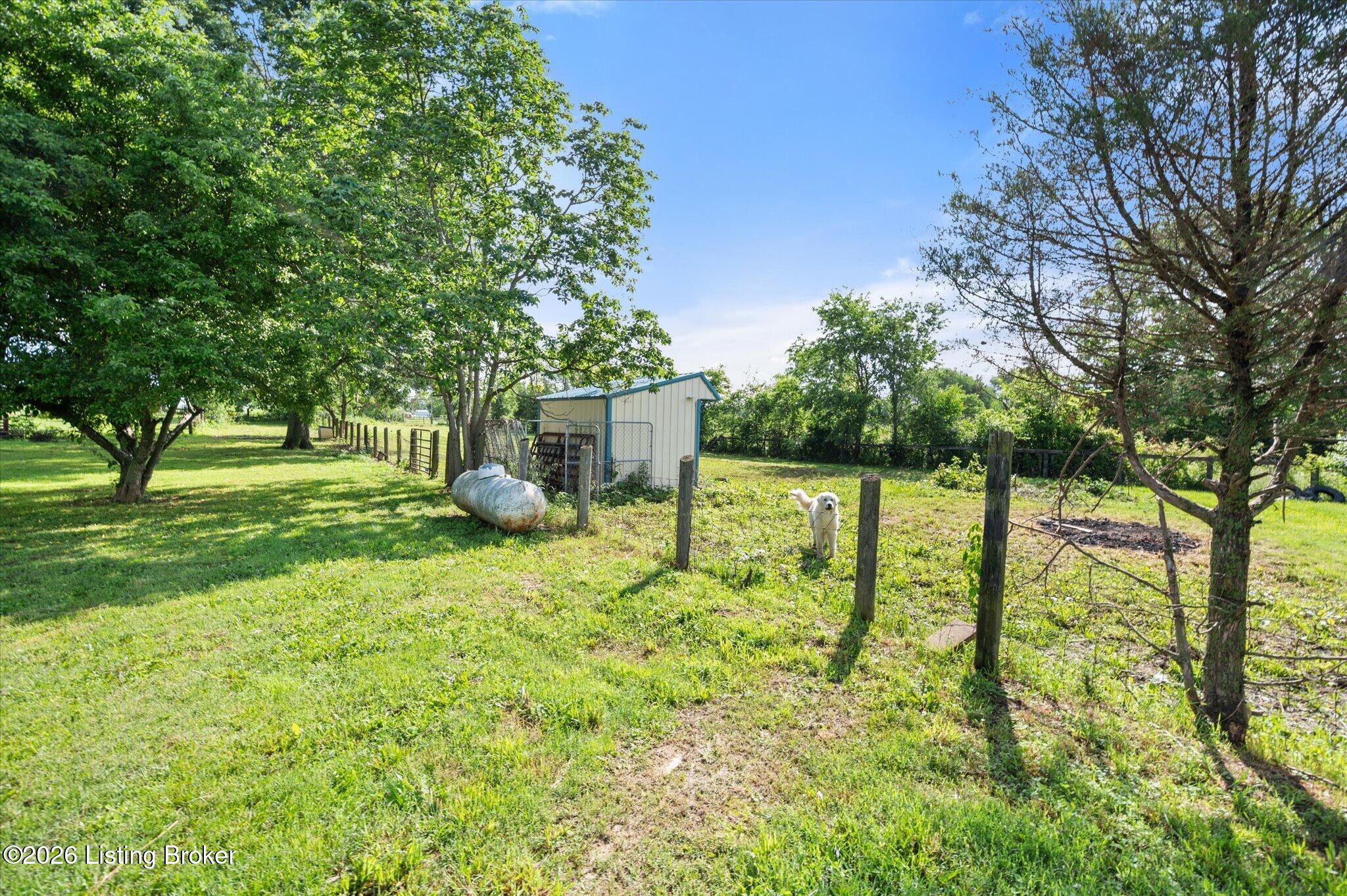 1167 New Cut Rd Property Photo 11