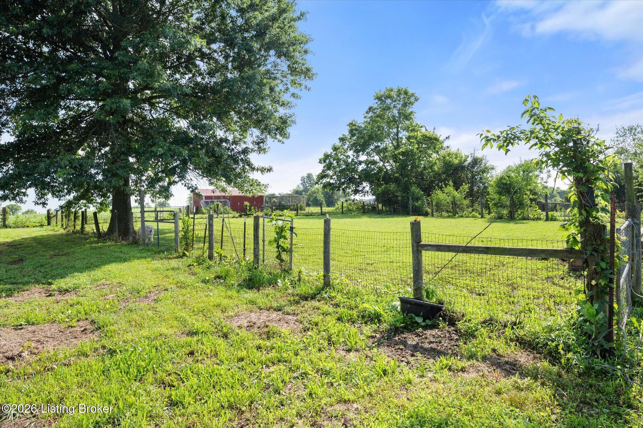 1167 New Cut Rd Property Photo 32