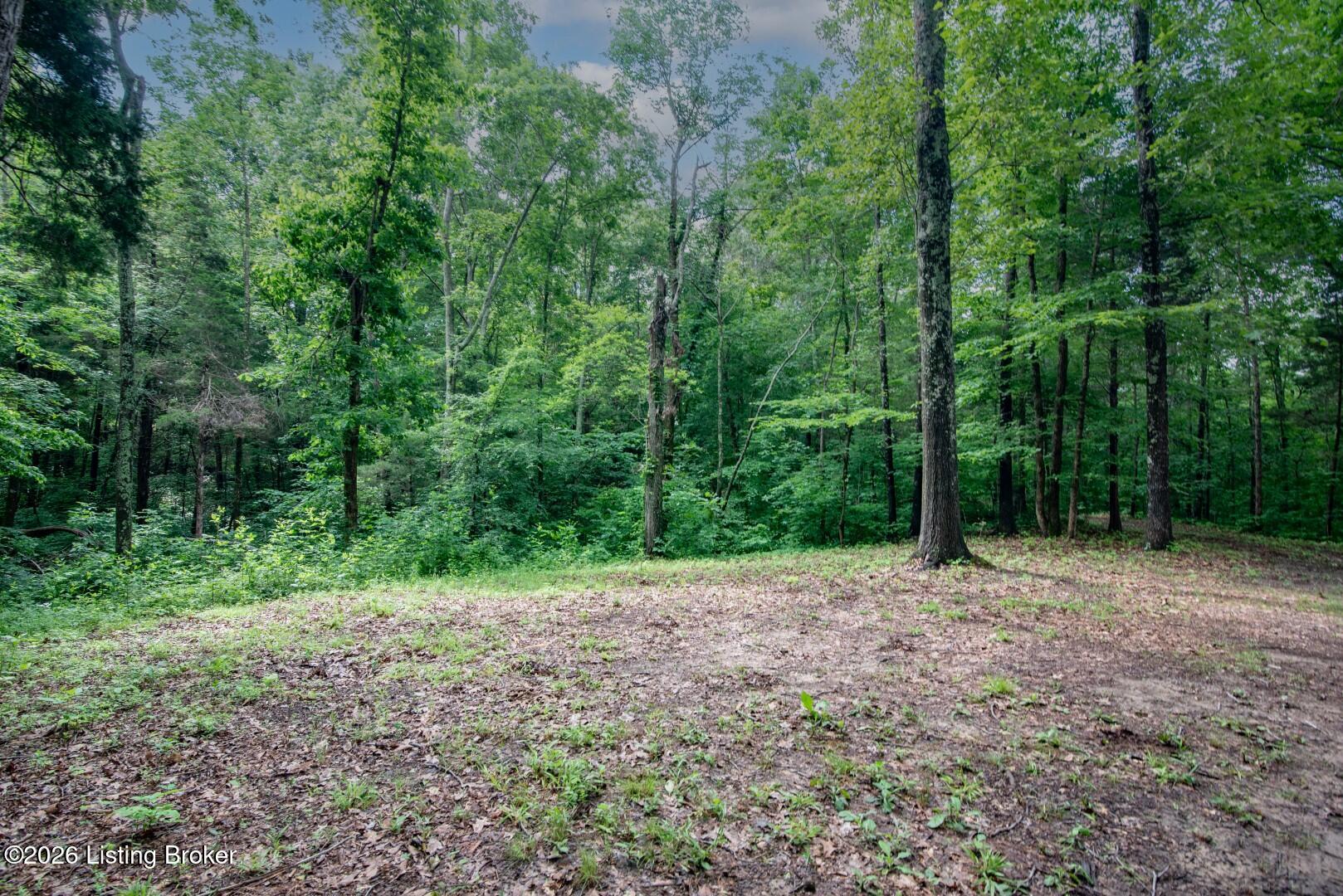 0 Mook-centerview Rd Property Photo 10