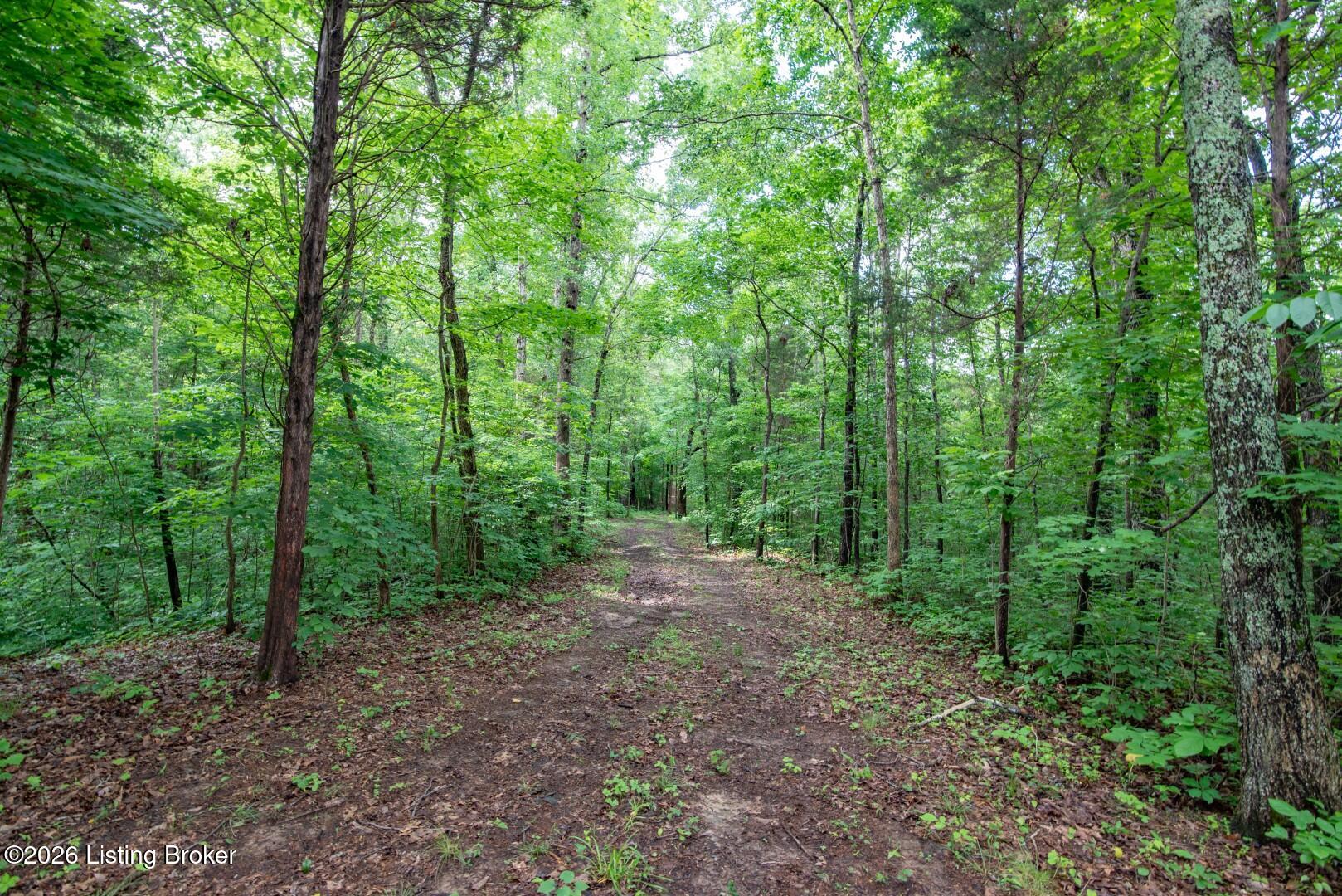 0 Mook-centerview Rd Property Photo 11