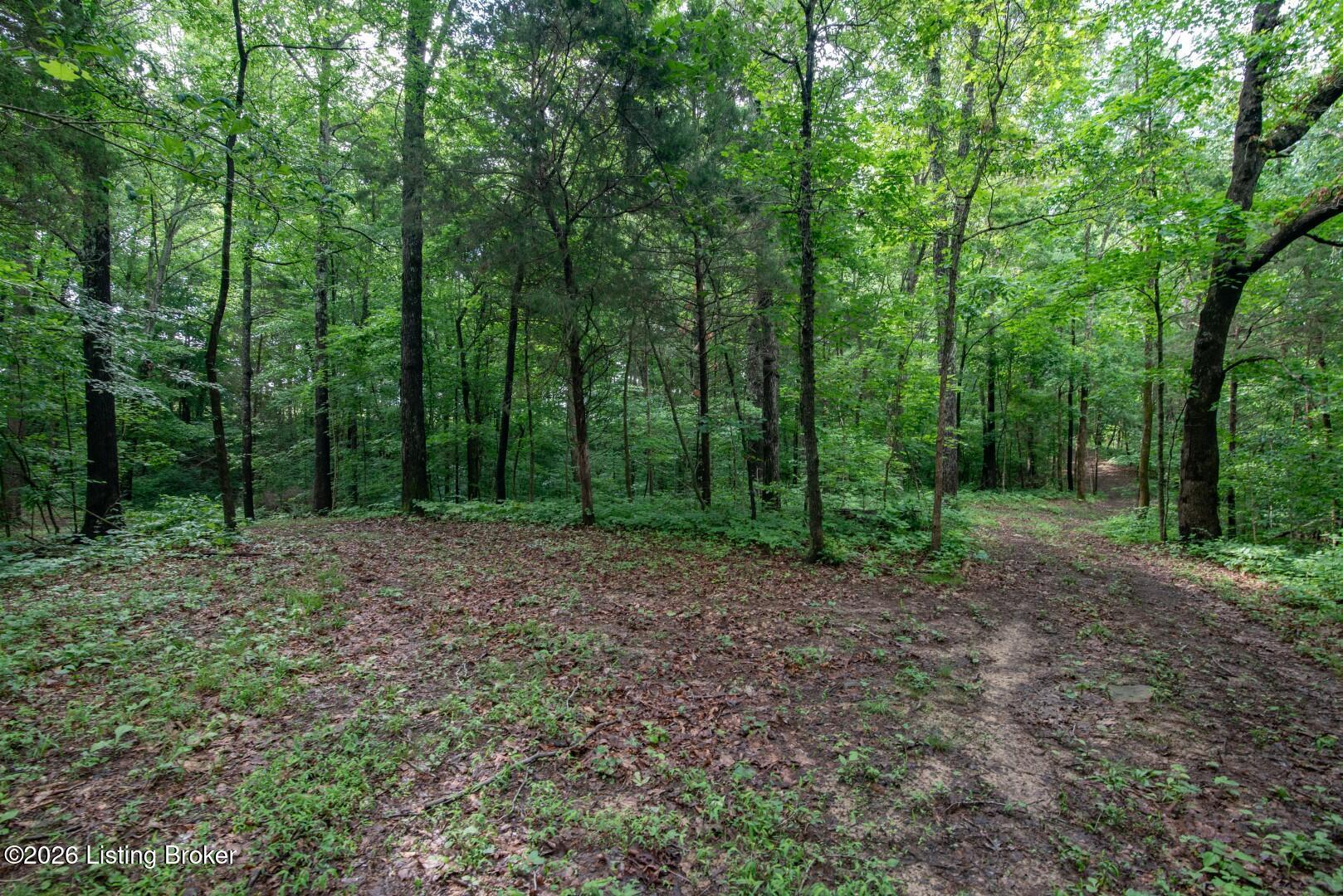 0 Mook-centerview Rd Property Photo 12