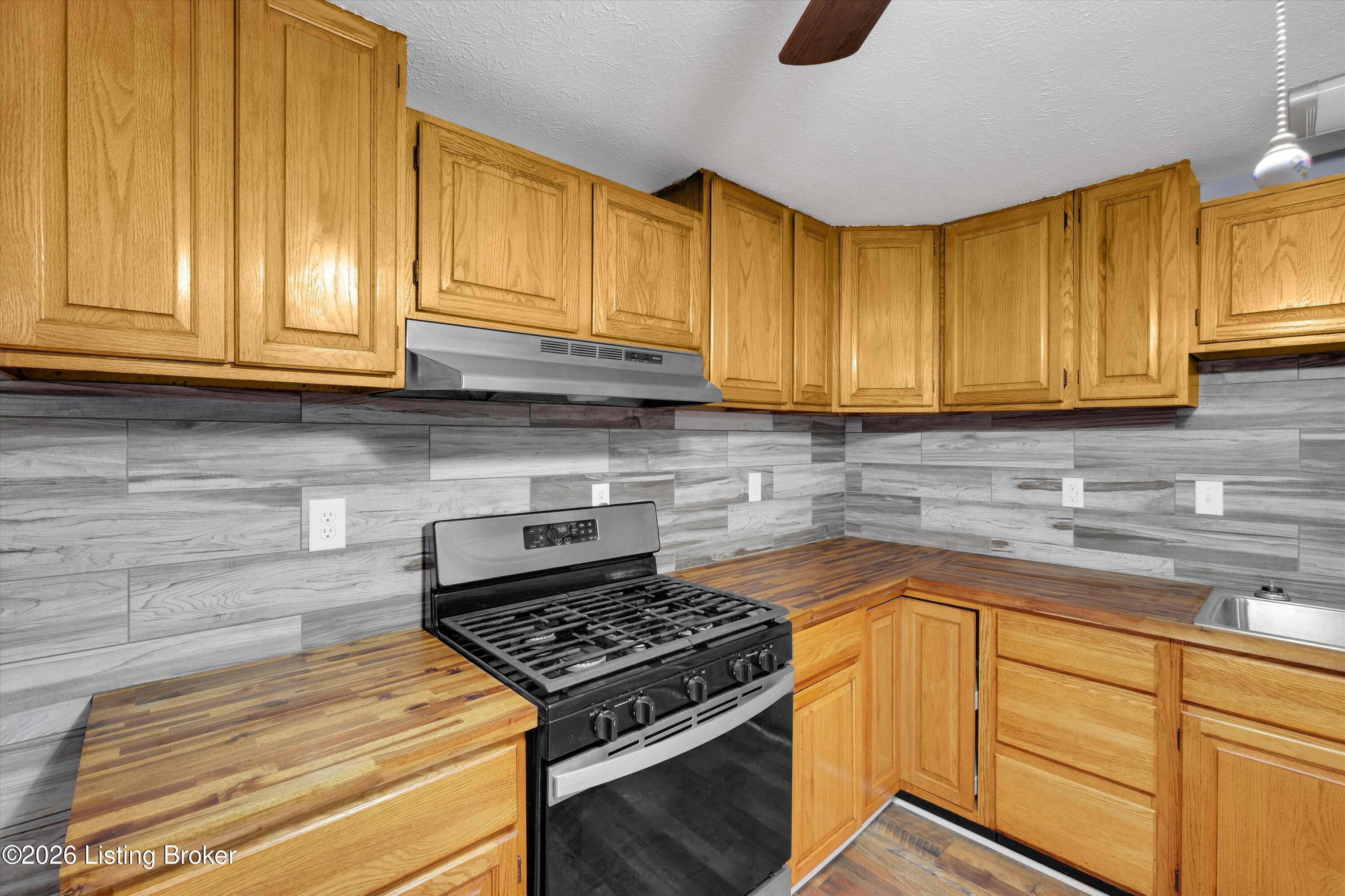 3070 Ashes Creek Ln Property Photo 12
