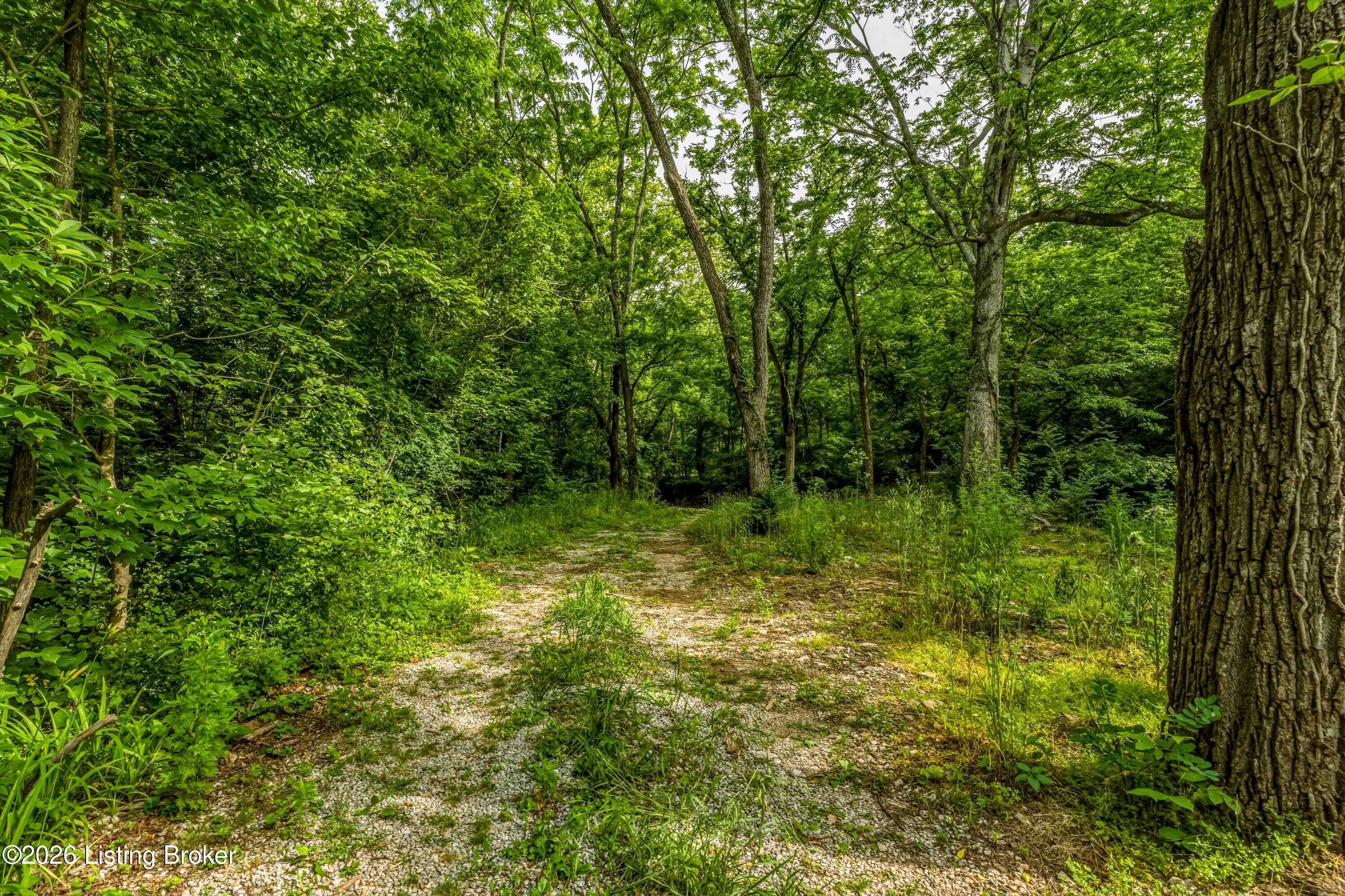 1795 Simpson Creek Rd Property Photo 13