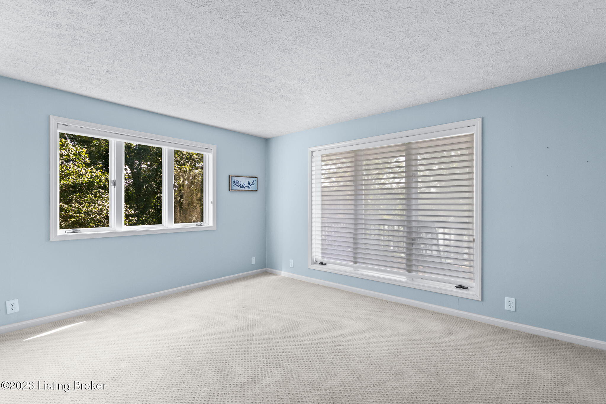 58 Oak Dale Ct Property Photo 97