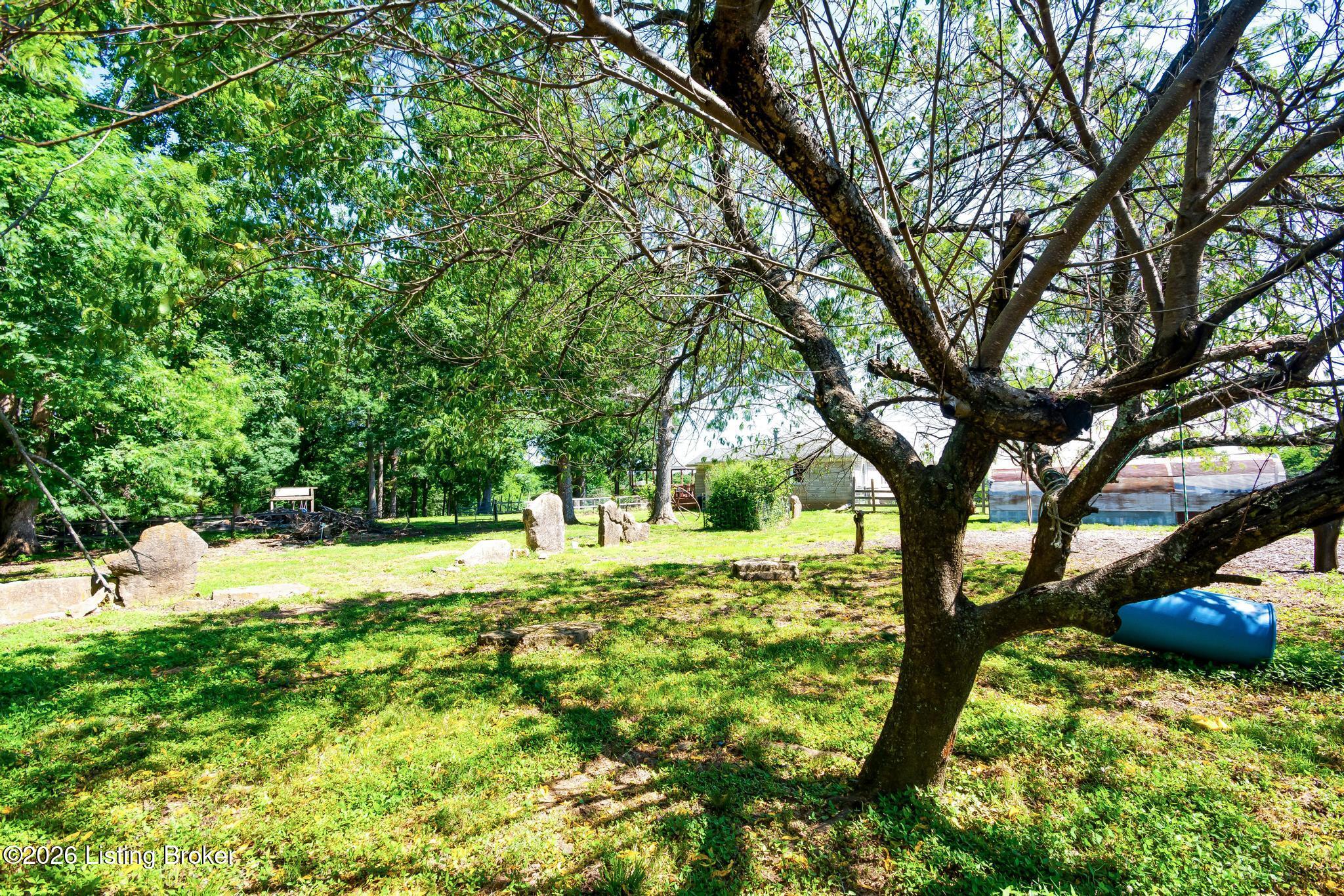 589 Wheeler Ln Property Photo 84