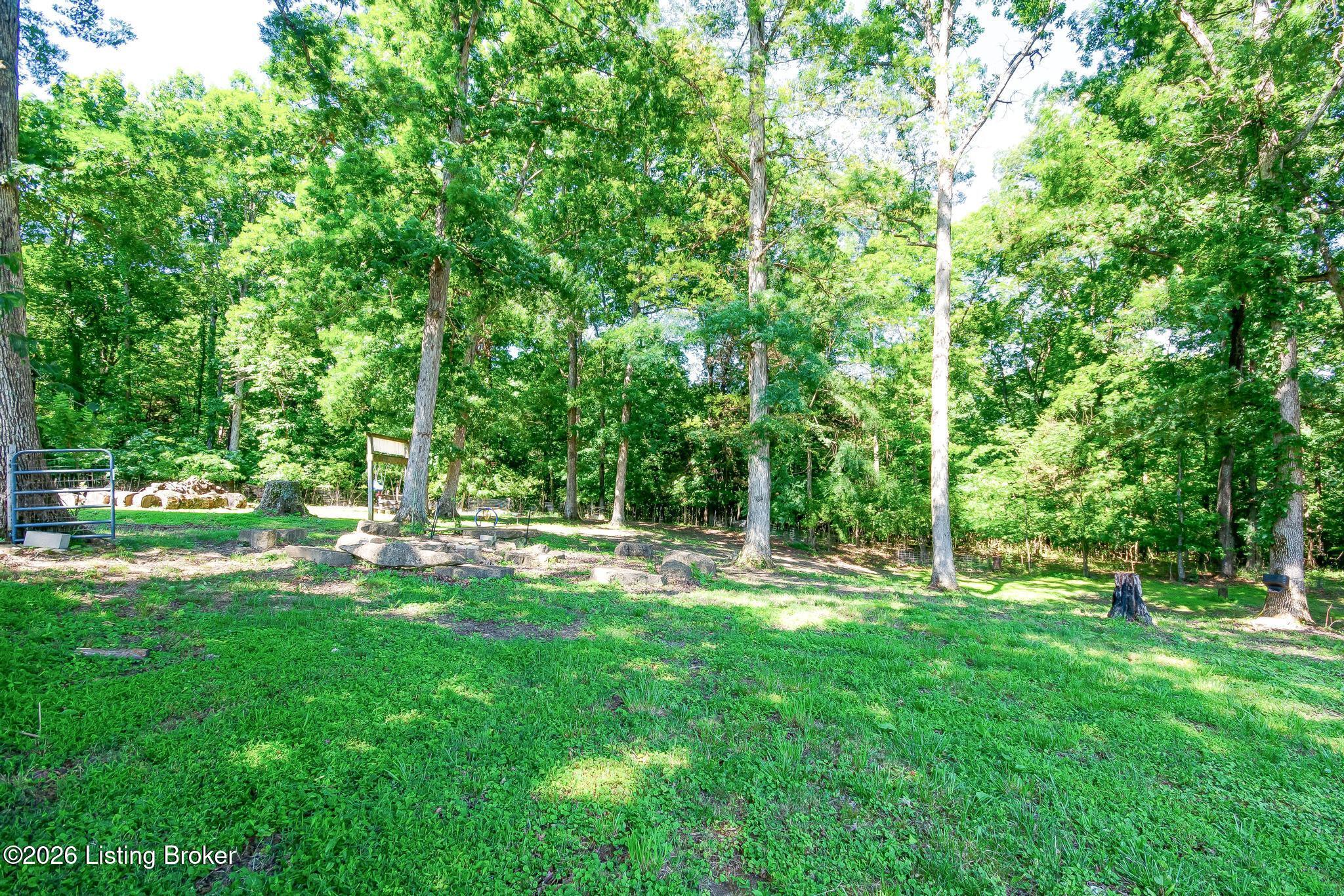589 Wheeler Ln Property Photo 102