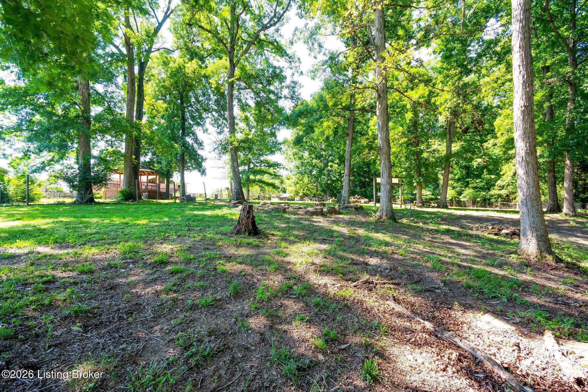 589 Wheeler Ln Property Photo 106