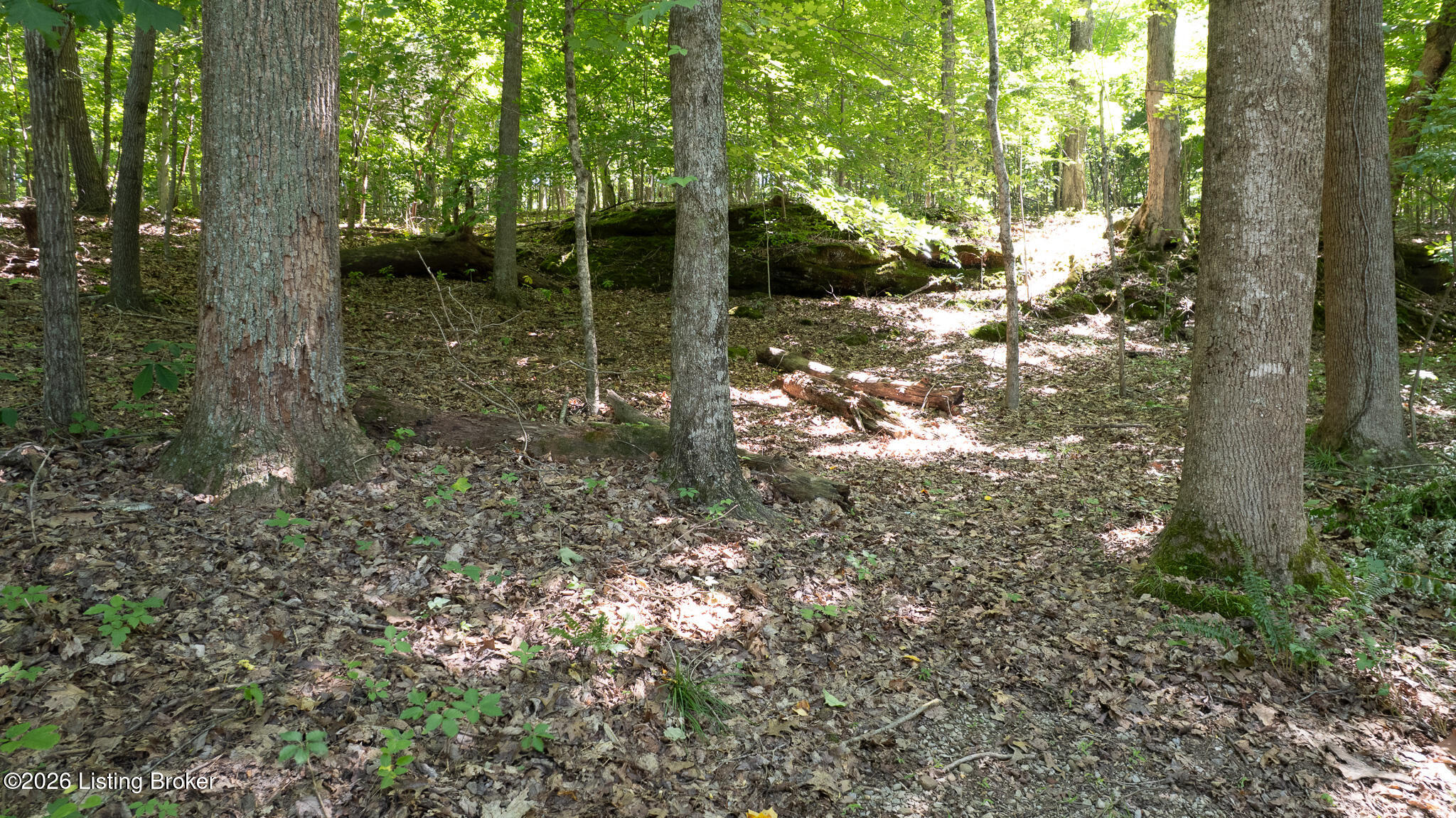 350 Spring Drive Ln Property Photo 17