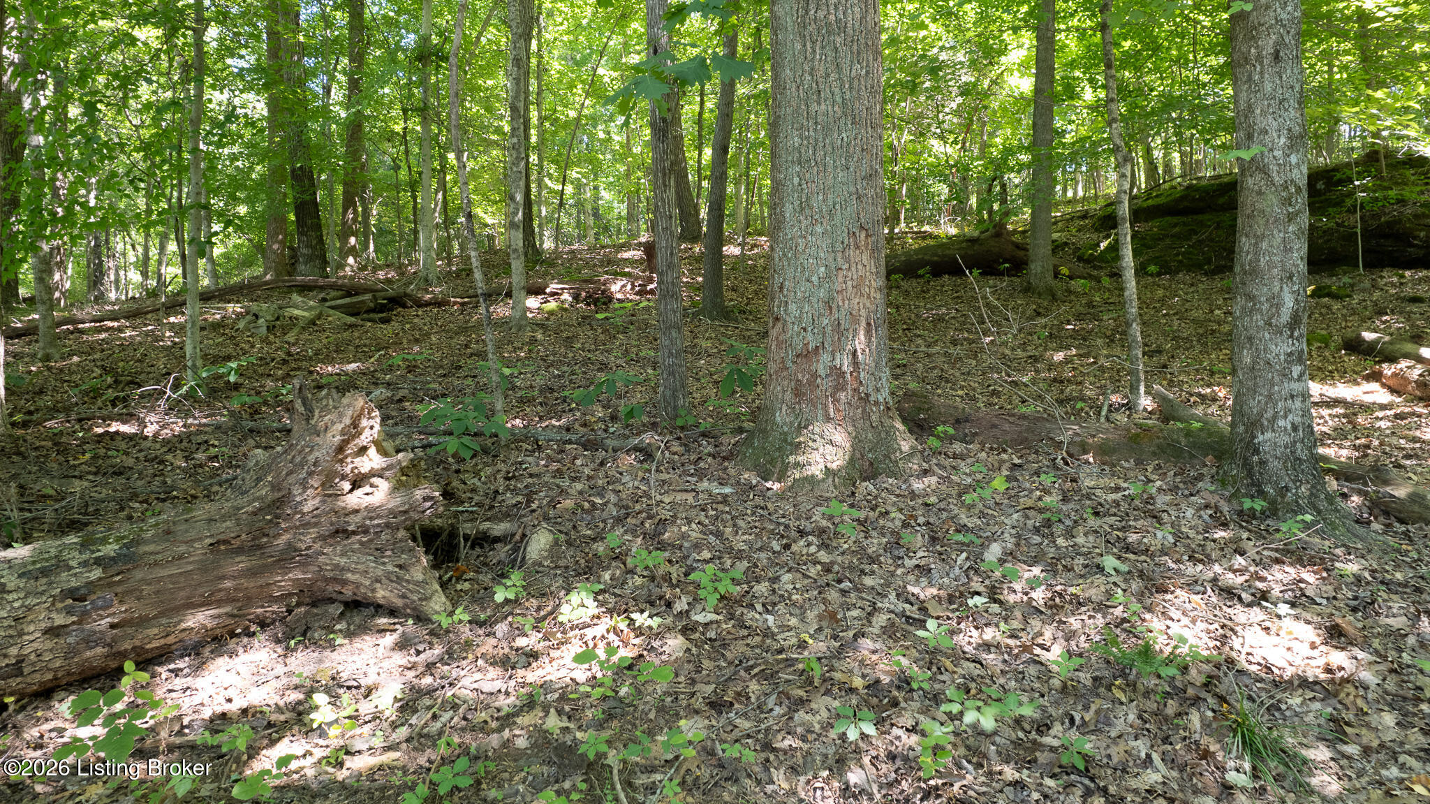 350 Spring Drive Ln Property Photo 18