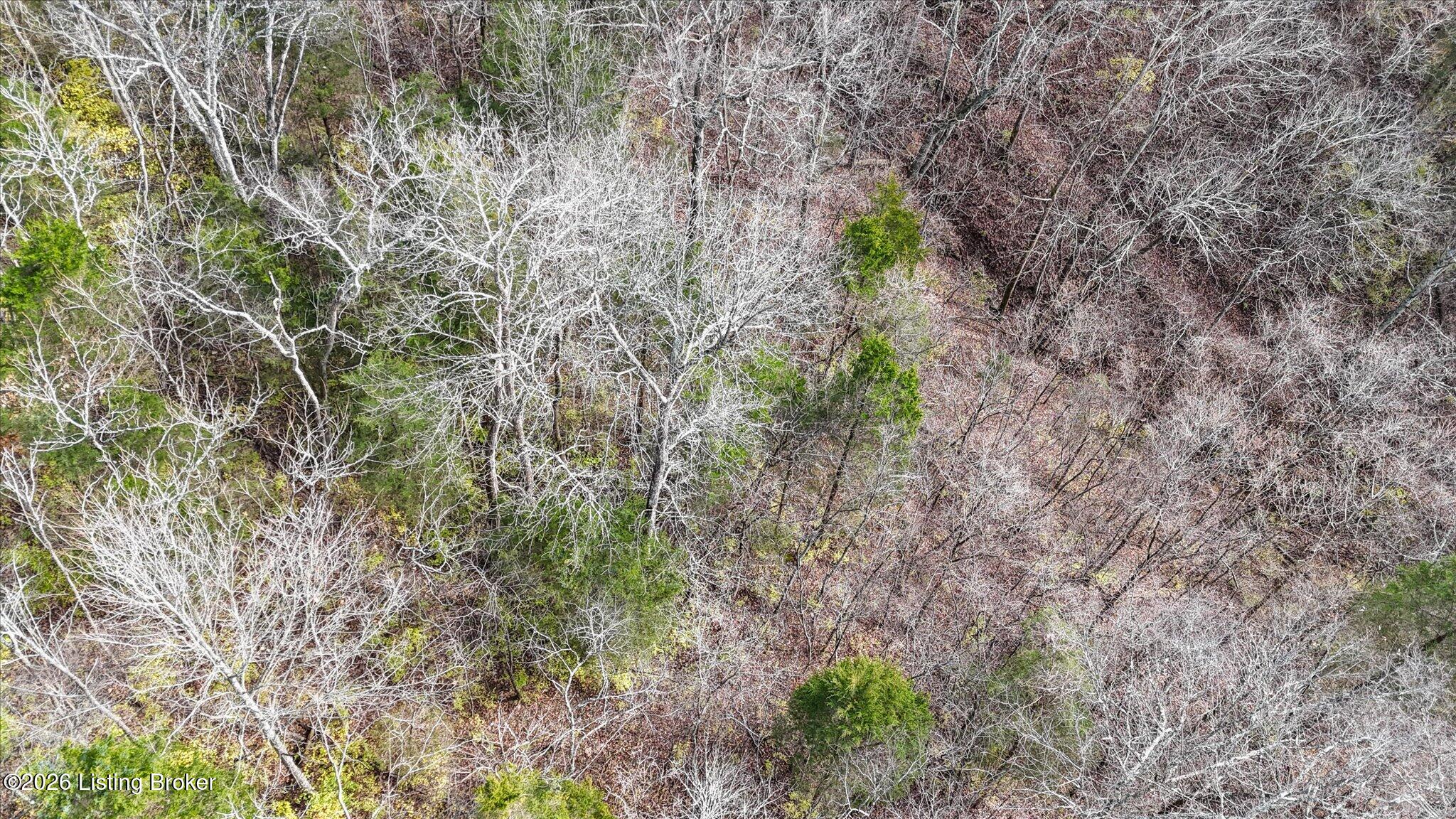 405 Tennessee Walking Ln Property Photo 12