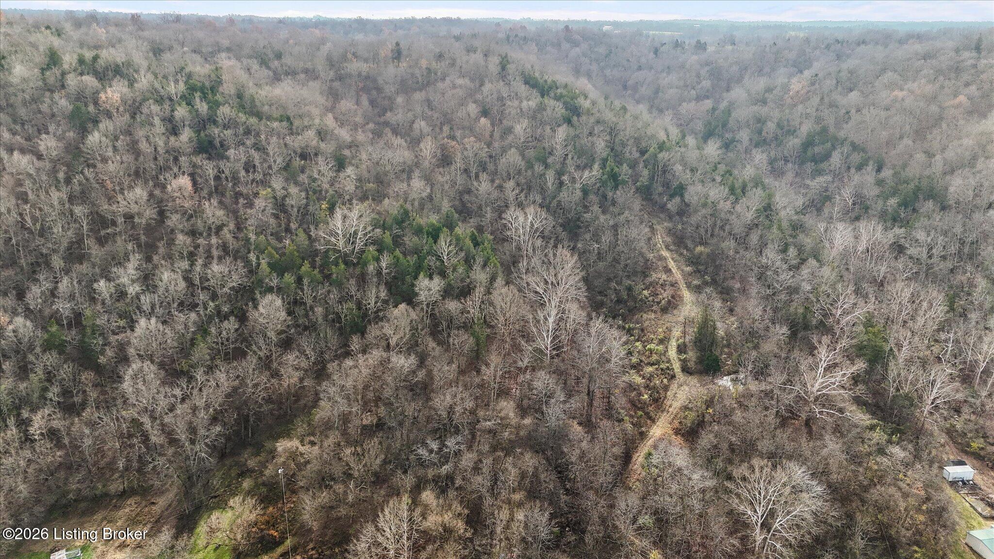 405 Tennessee Walking Ln Property Photo 13