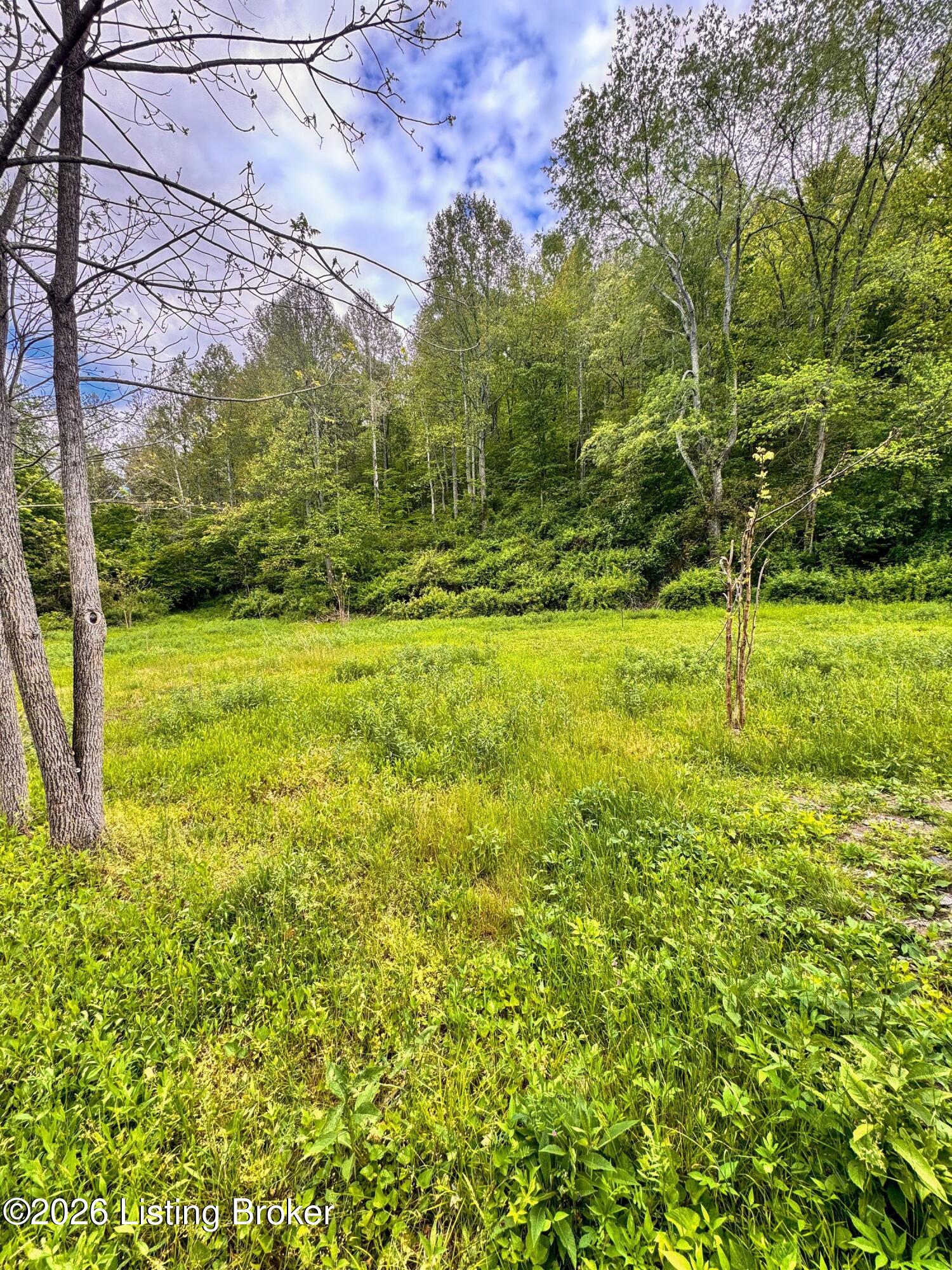 0 Bee Hollow Rd Property Photo 10
