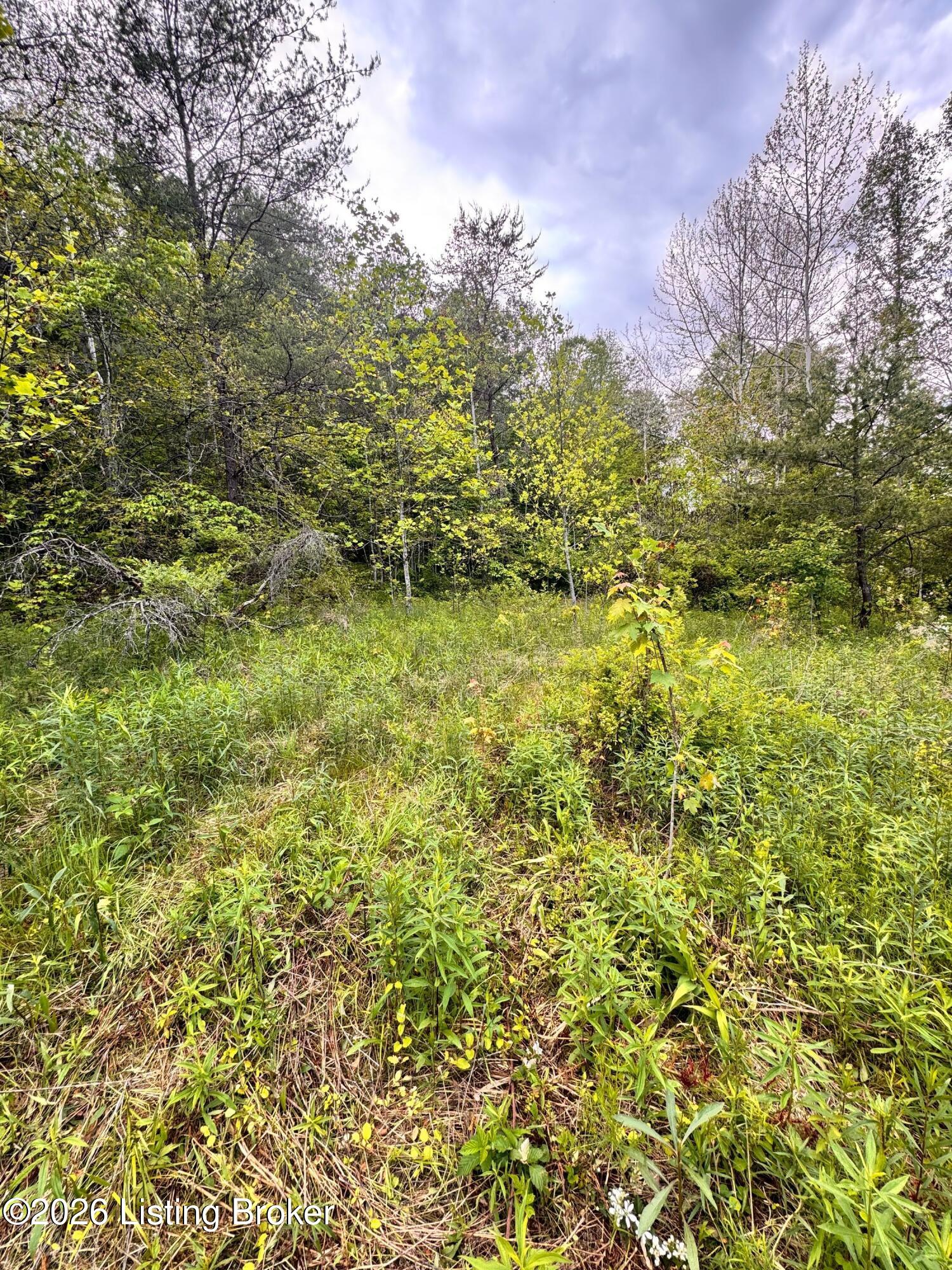 0 Bee Hollow Rd Property Photo 11