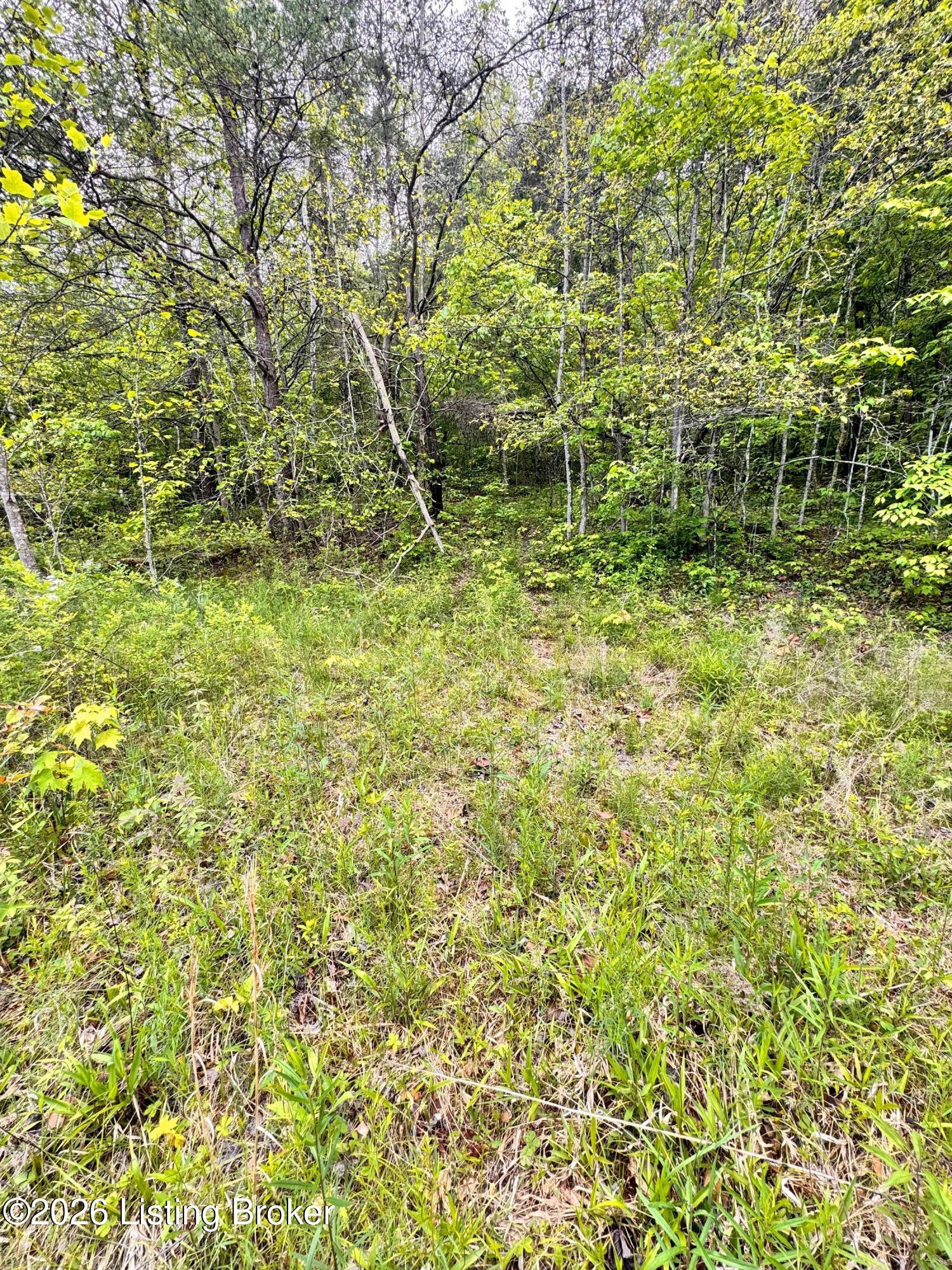 0 Bee Hollow Rd Property Photo 13