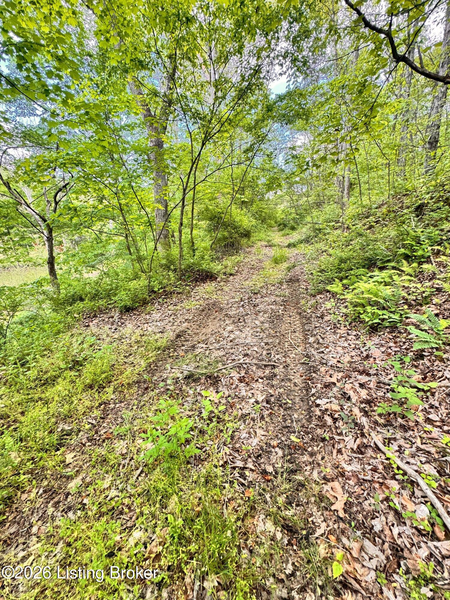 0 Bee Hollow Rd Property Photo 14
