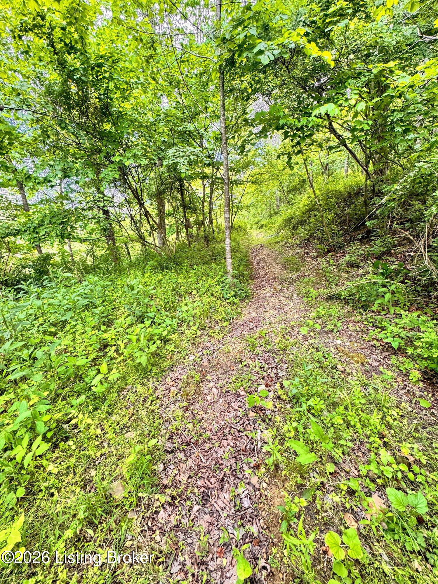 0 Bee Hollow Rd Property Photo 15