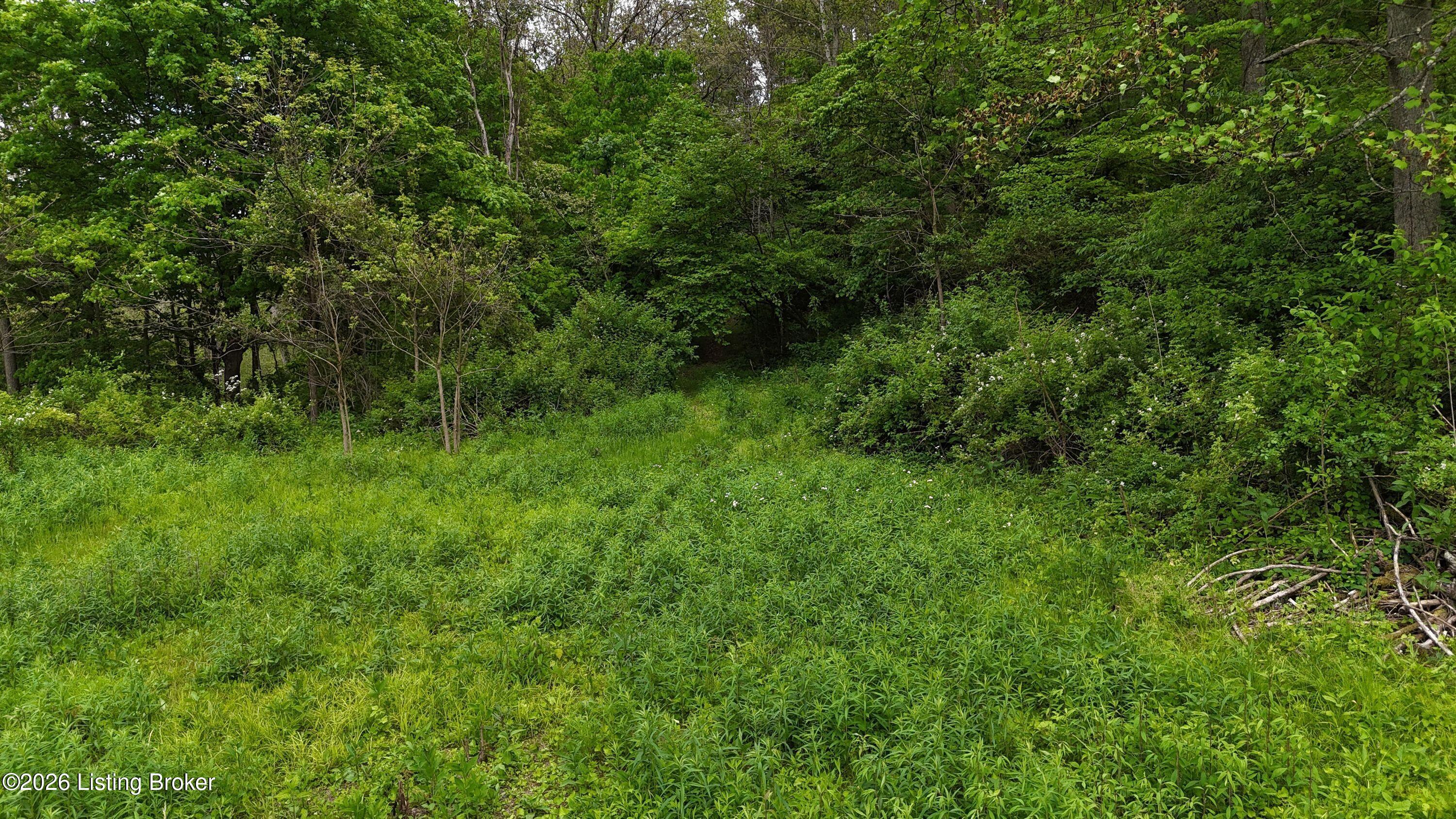 0 Bee Hollow Rd Property Photo 17