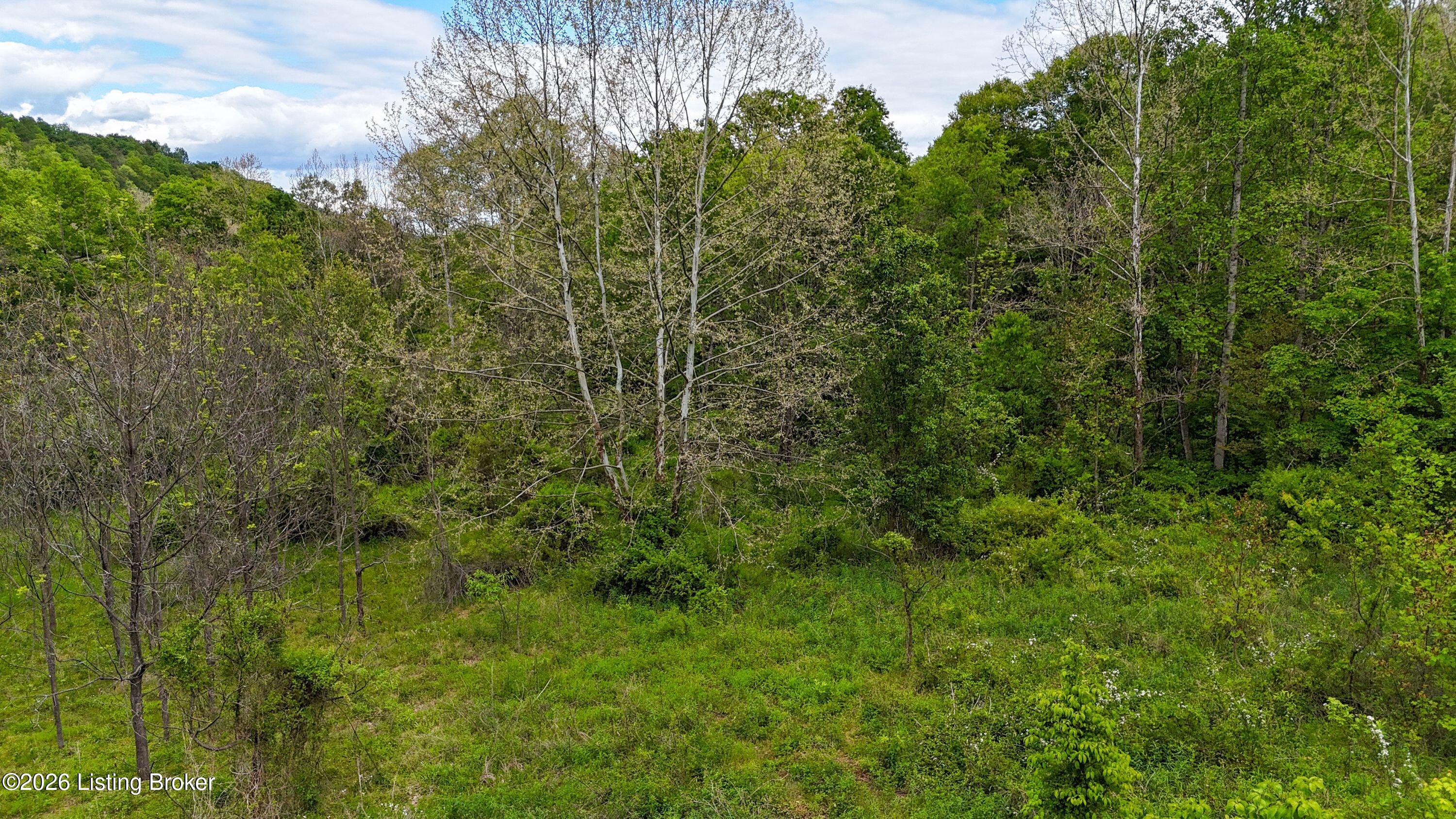 0 Bee Hollow Rd Property Photo 18