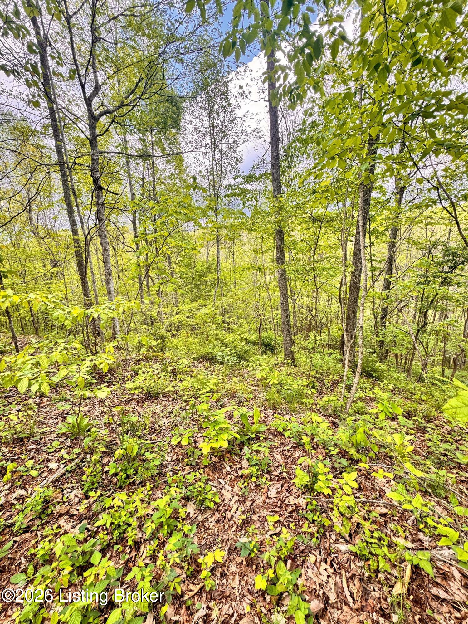 0 Bee Hollow Rd Property Photo 31