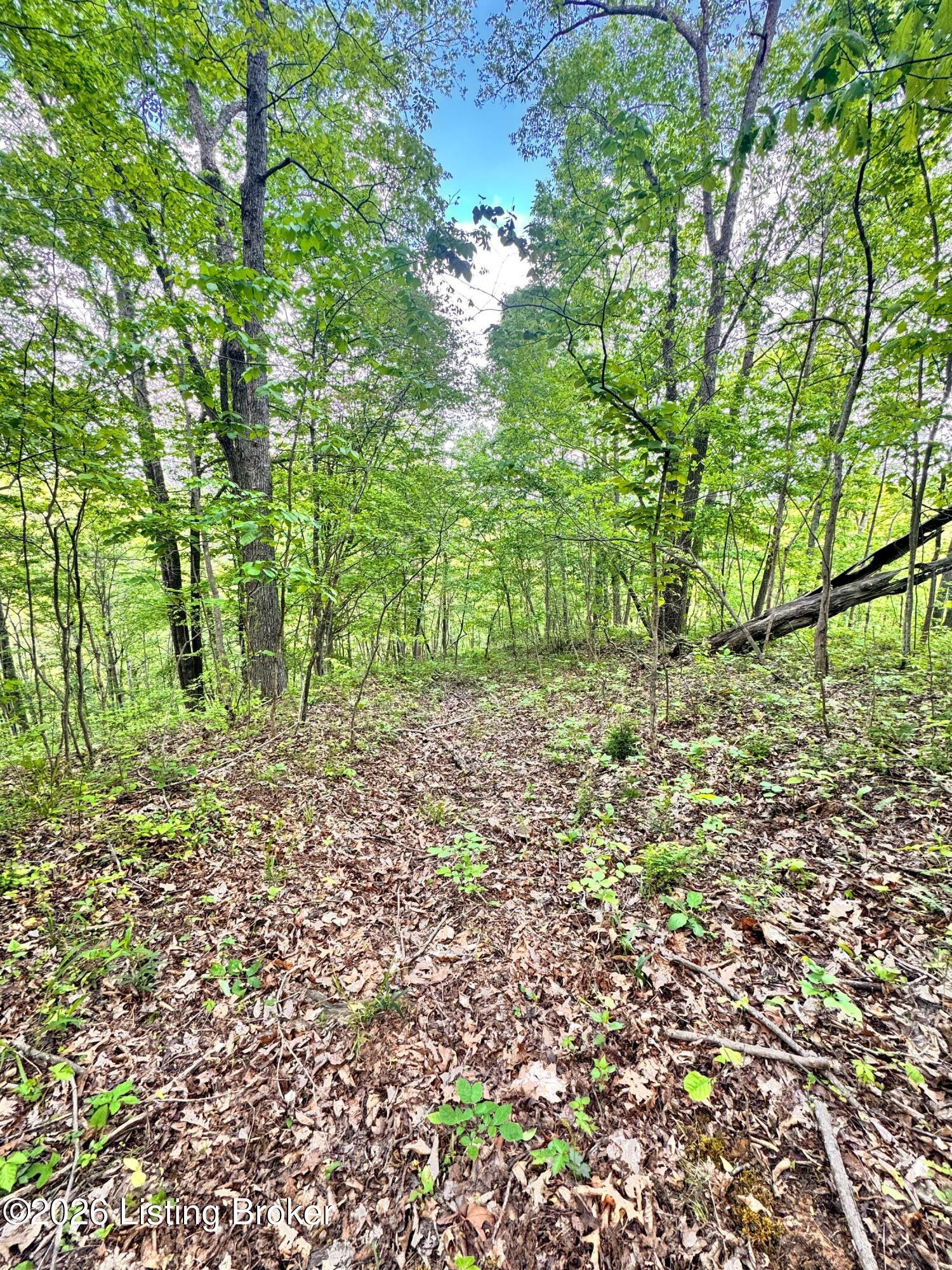 0 Bee Hollow Rd Property Photo 33