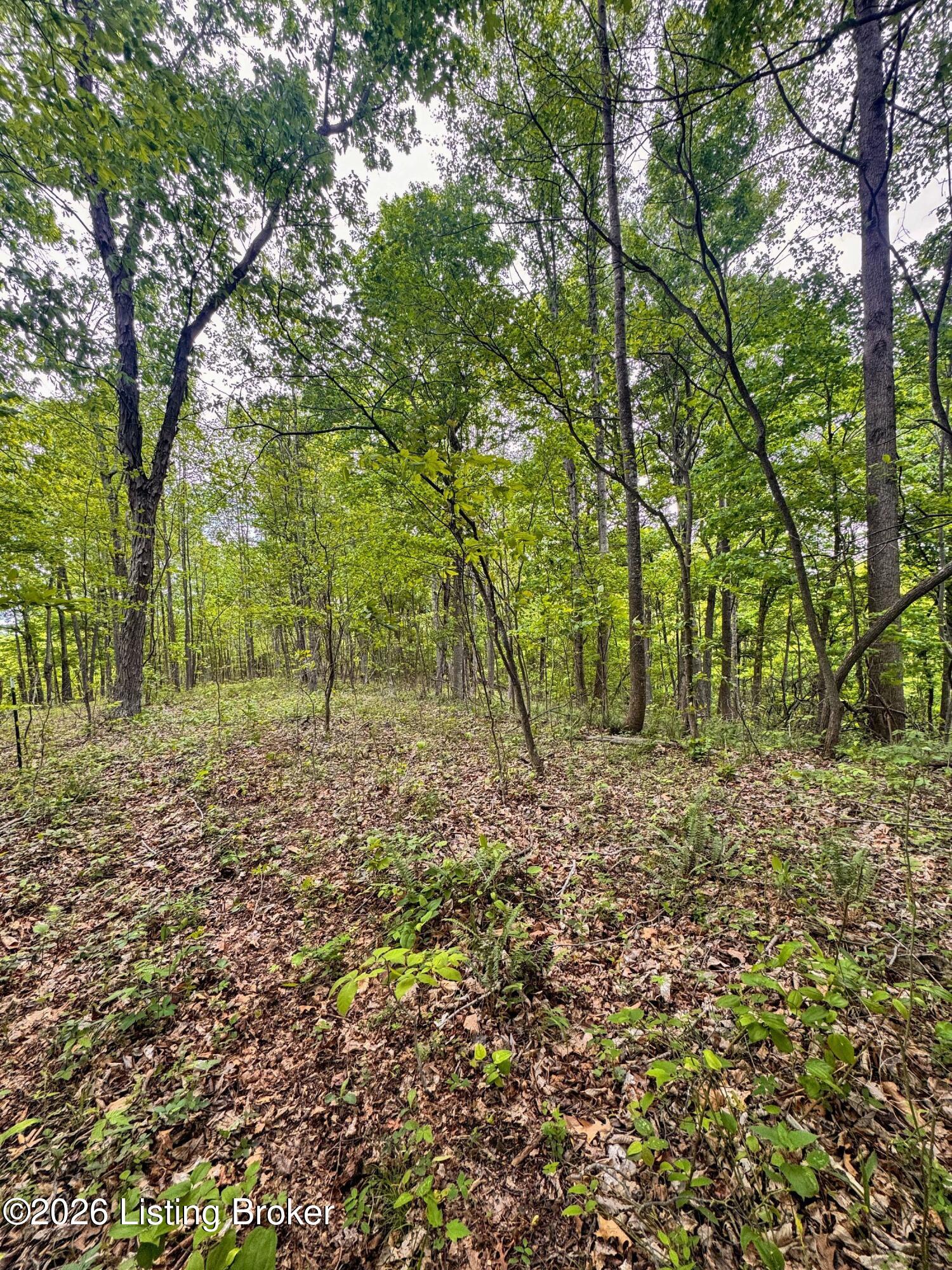 0 Bee Hollow Rd Property Photo 35