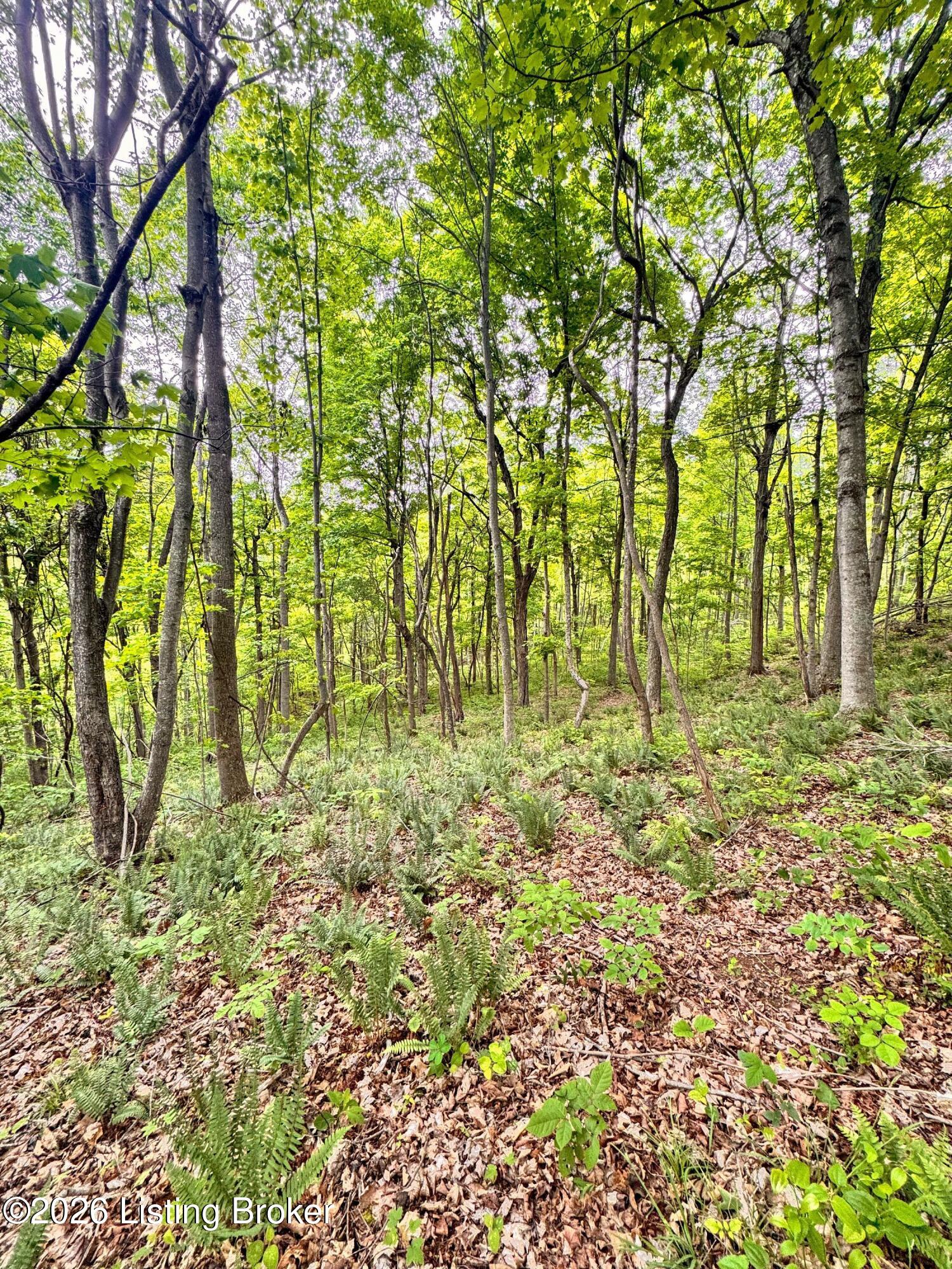 0 Bee Hollow Rd Property Photo 37
