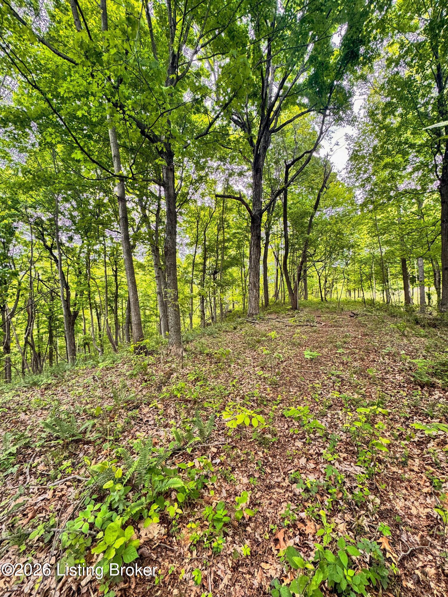 0 Bee Hollow Rd Property Photo 38
