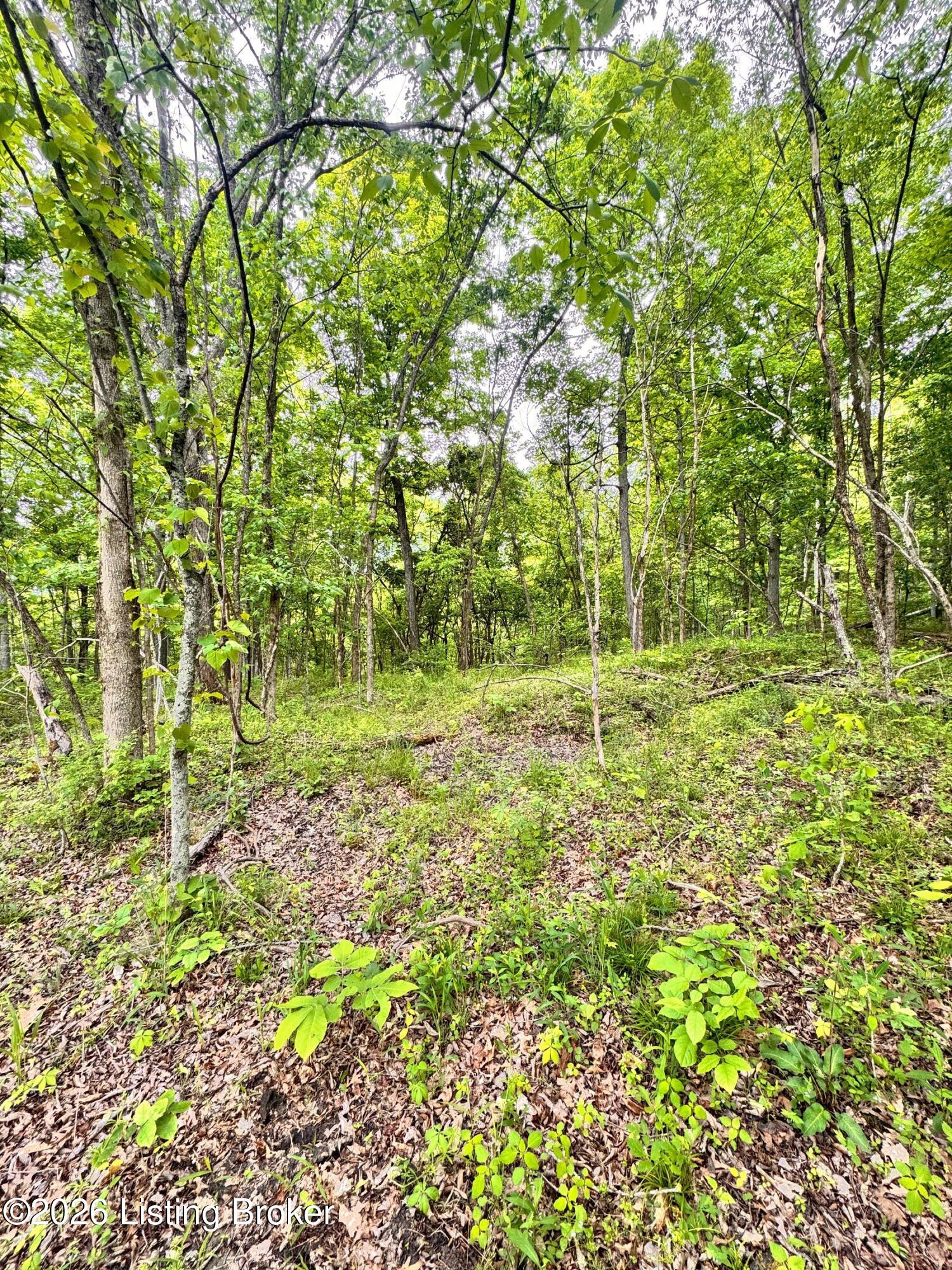0 Bee Hollow Rd Property Photo 39
