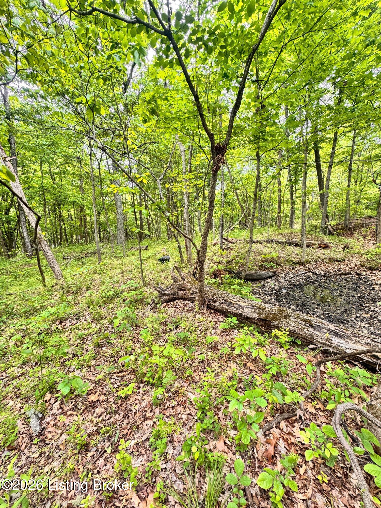 0 Bee Hollow Rd Property Photo 41