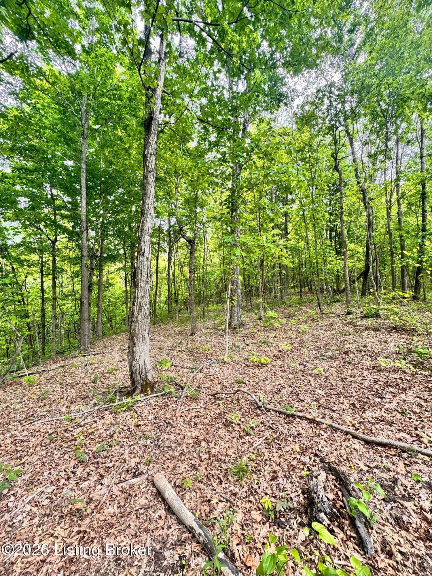 0 Bee Hollow Rd Property Photo 42