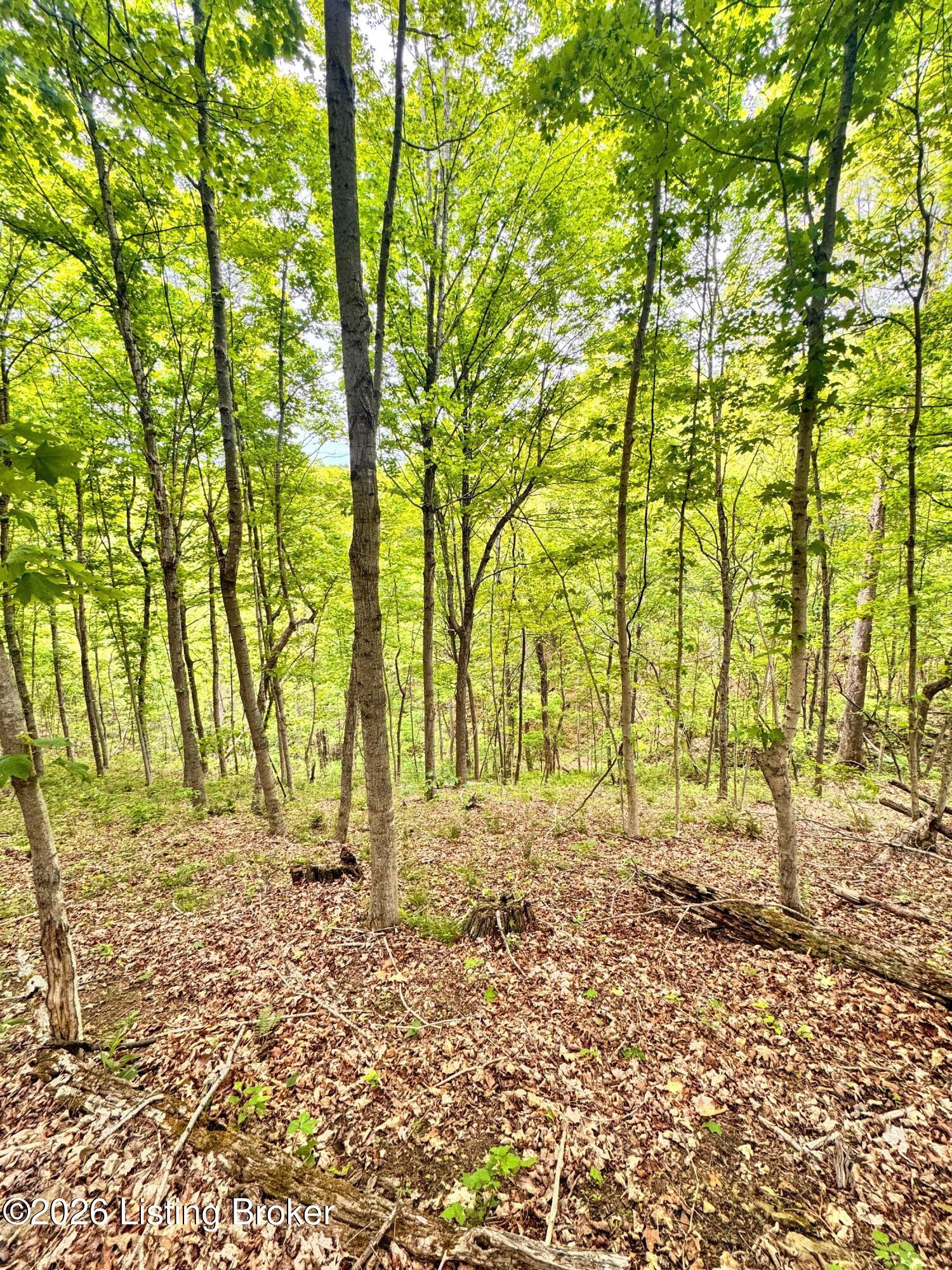 0 Bee Hollow Rd Property Photo 43