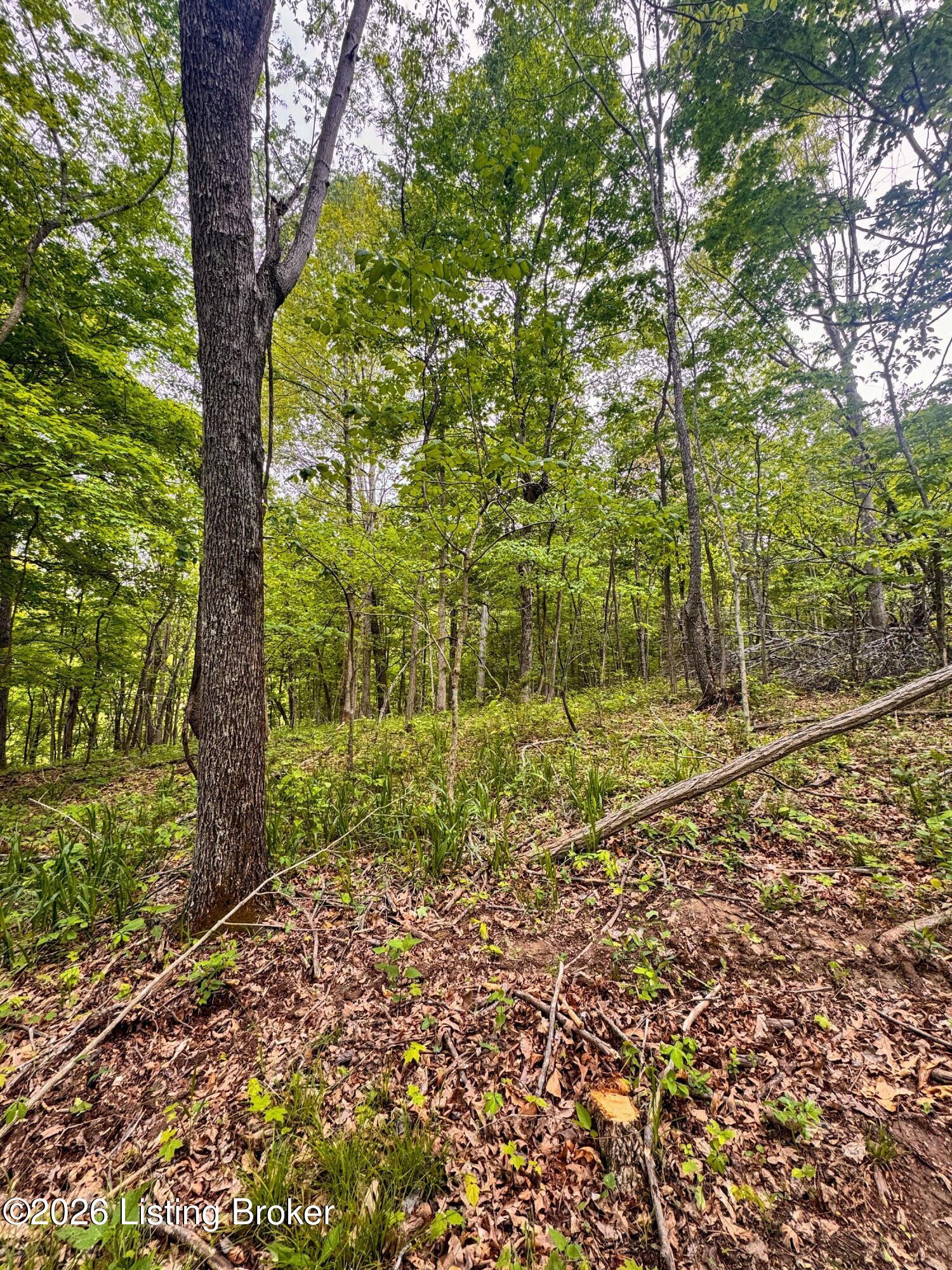 0 Bee Hollow Rd Property Photo 45