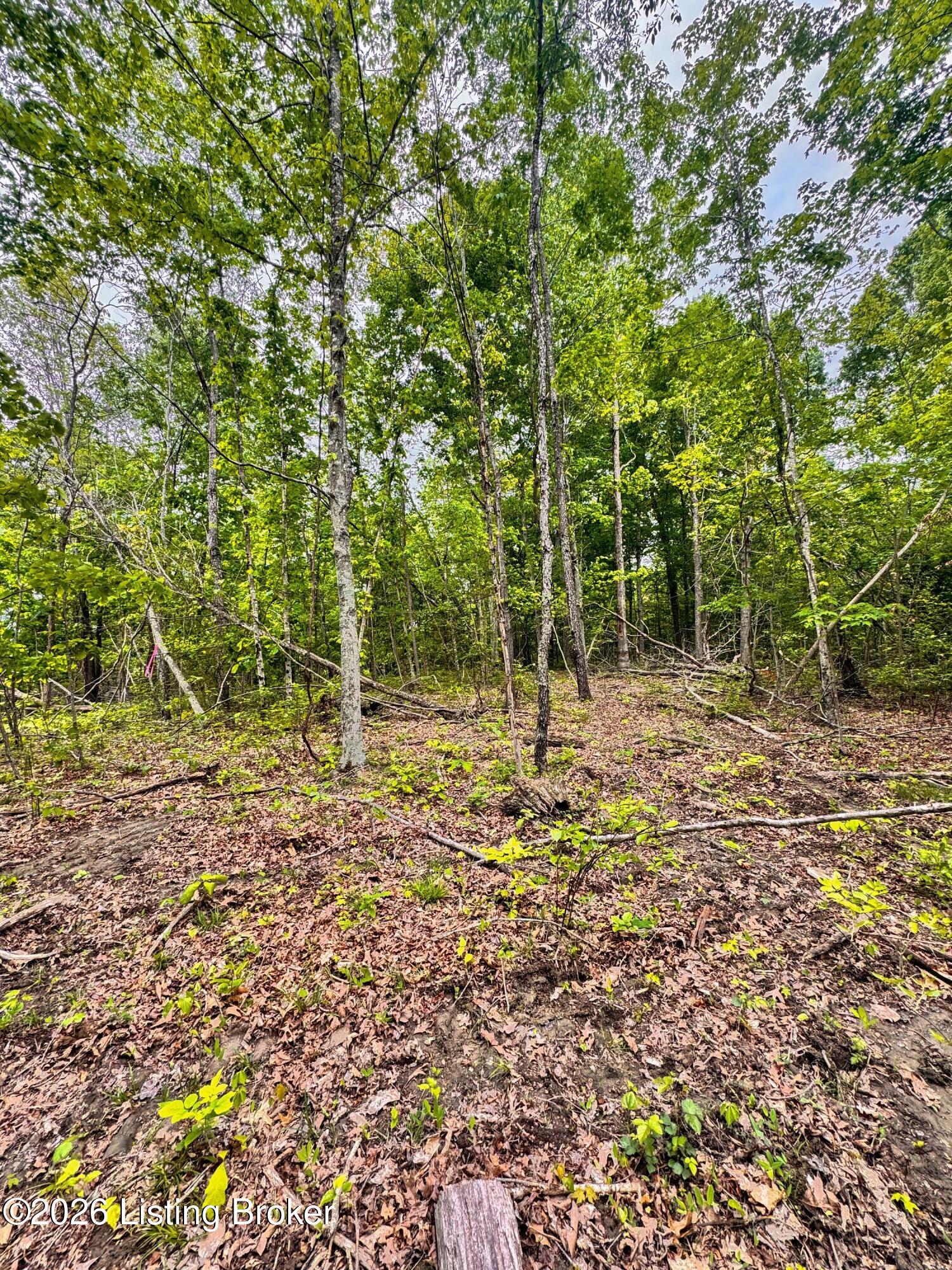 0 Bee Hollow Rd Property Photo 46