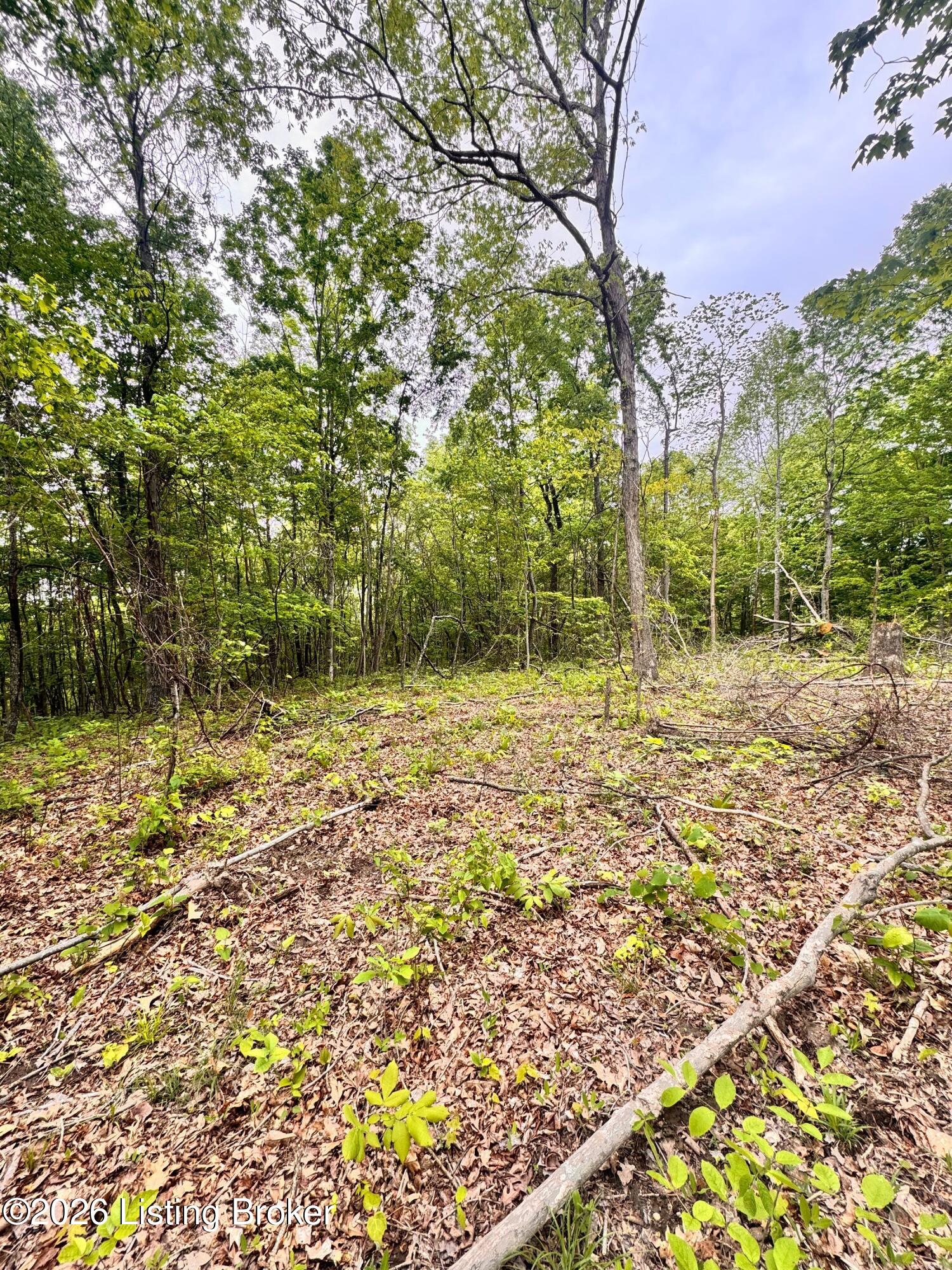 0 Bee Hollow Rd Property Photo 47