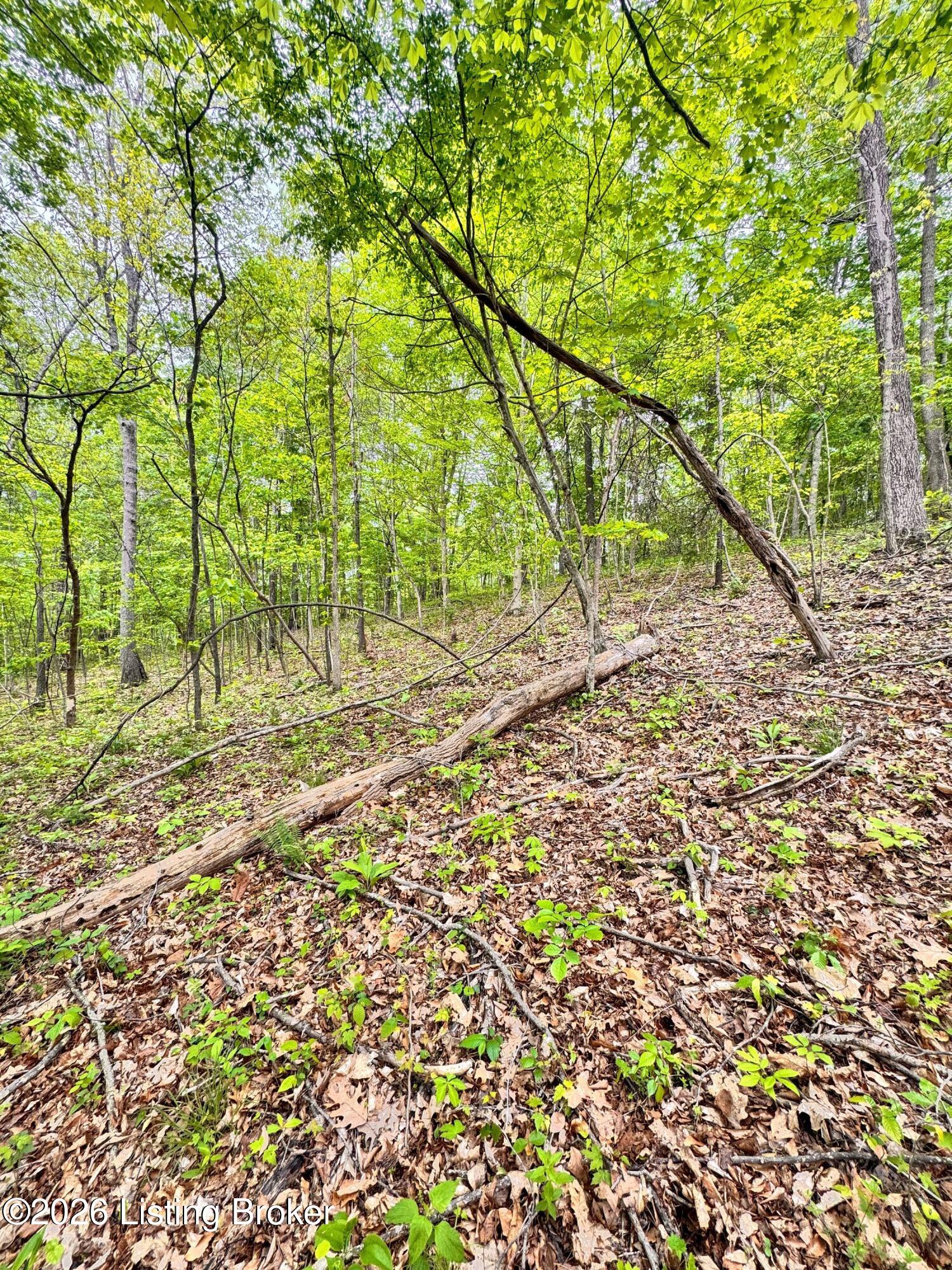 0 Bee Hollow Rd Property Photo 51