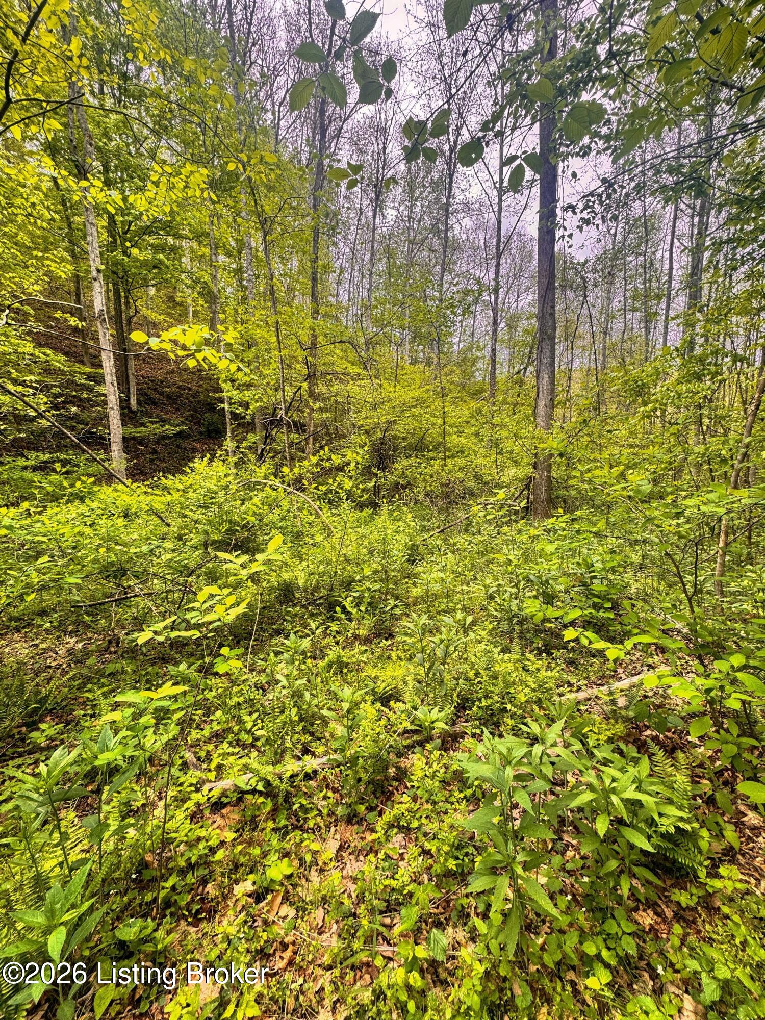 0 Bee Hollow Rd Property Photo 56