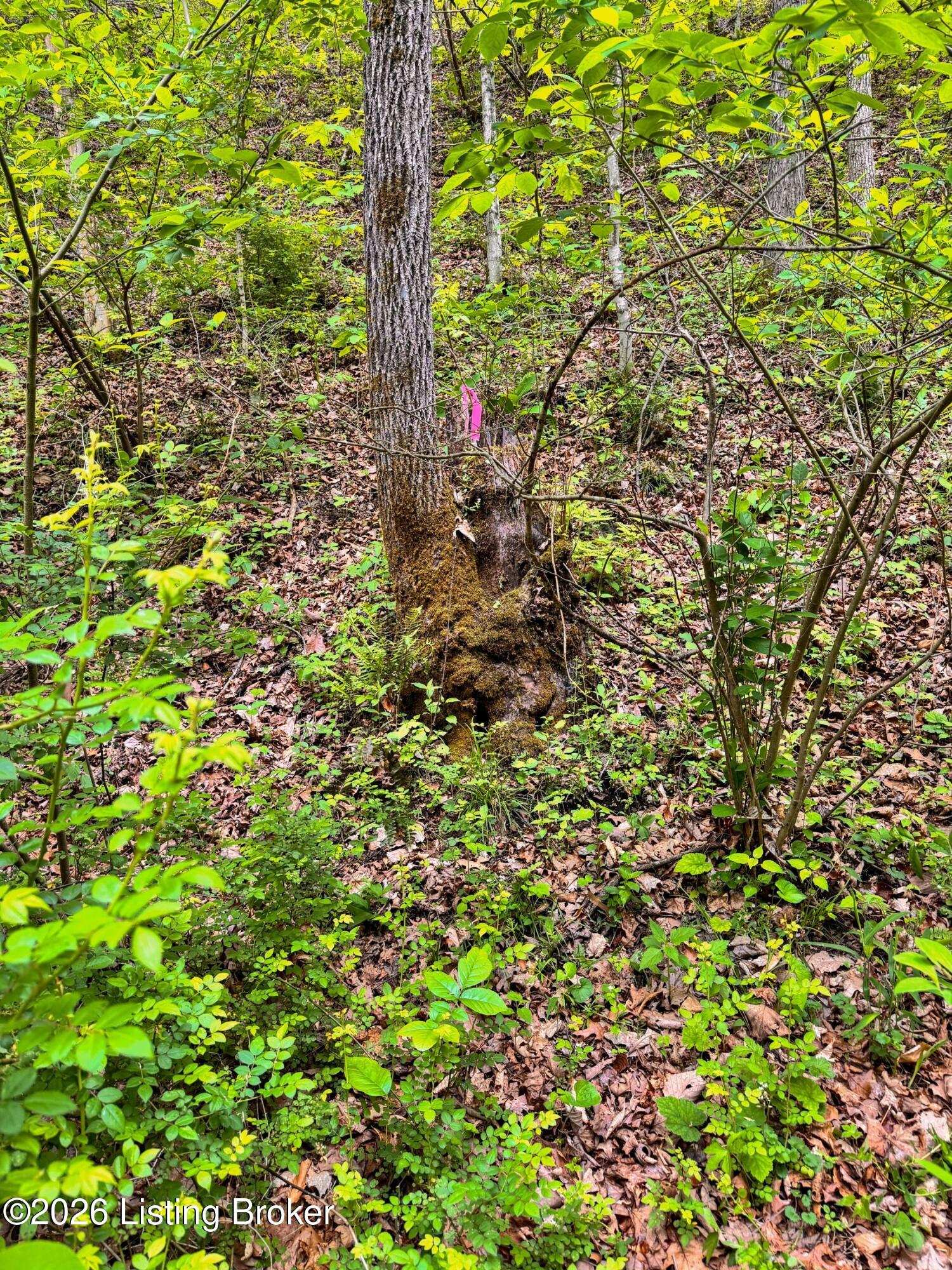 0 Bee Hollow Rd Property Photo 57