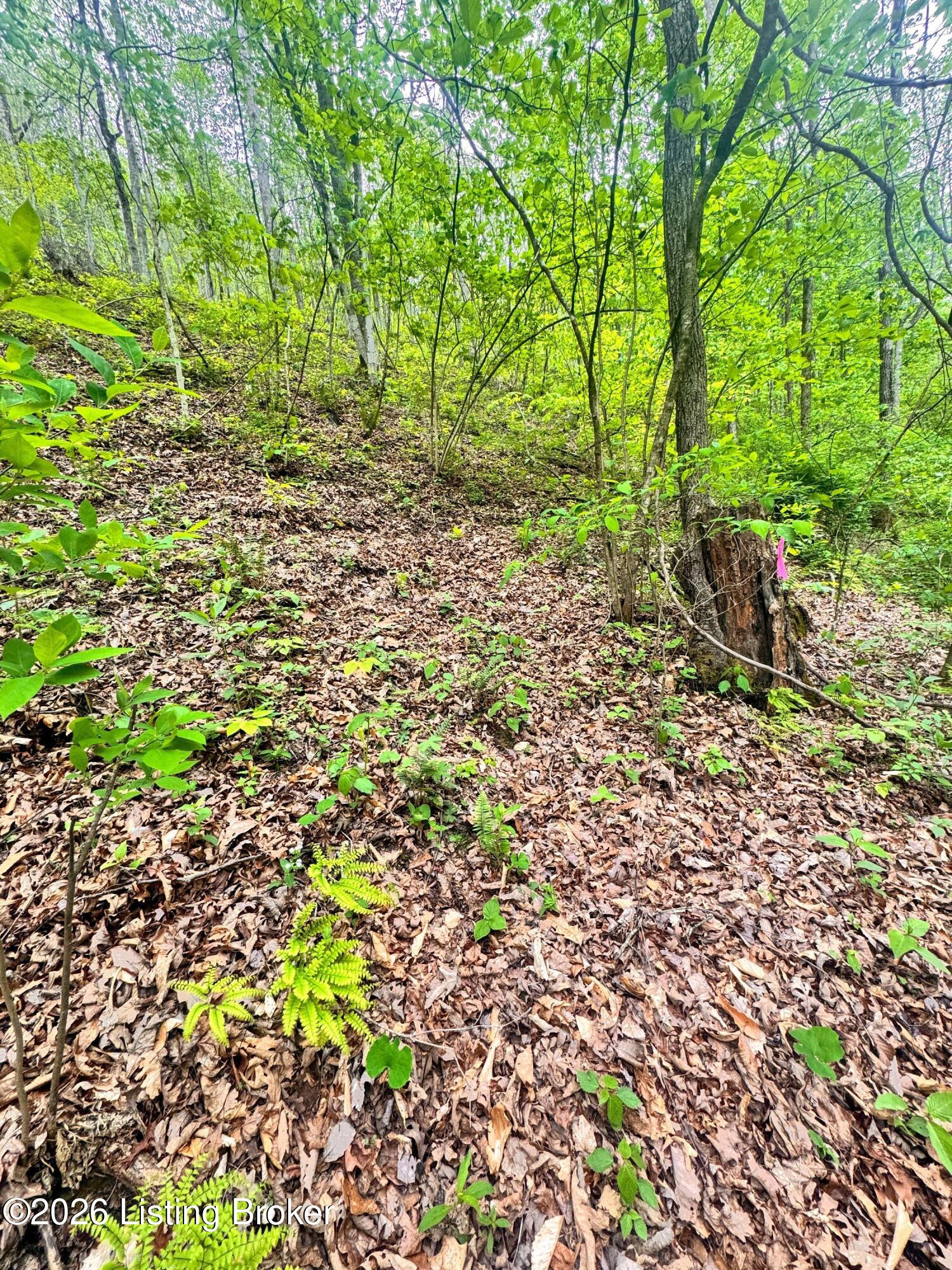 0 Bee Hollow Rd Property Photo 58