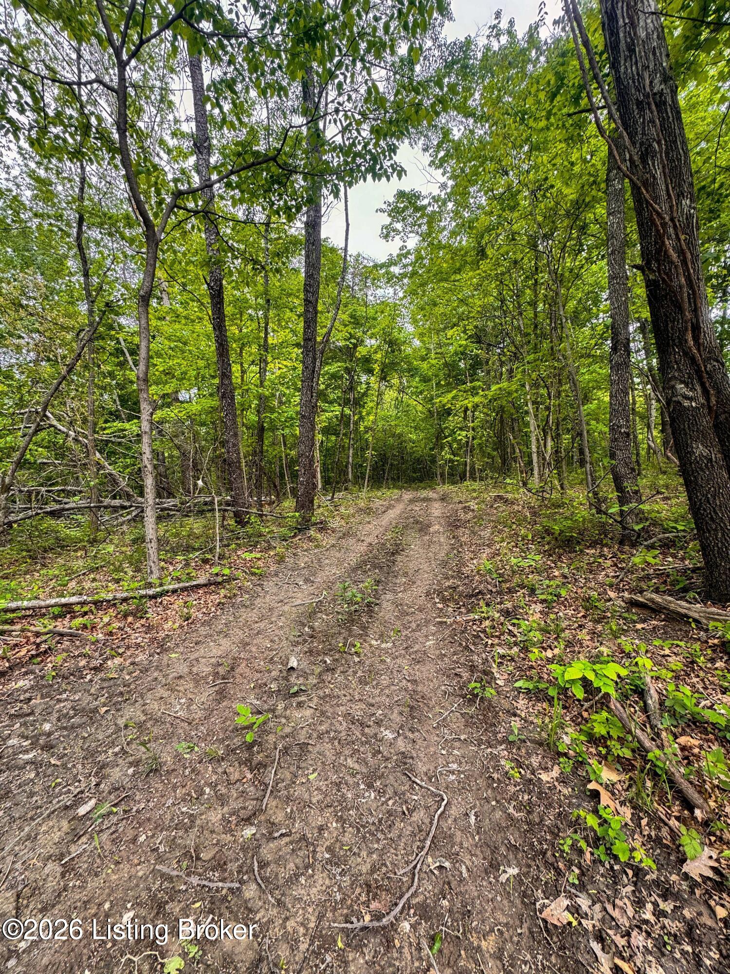 0 Bee Hollow Rd Property Photo 61
