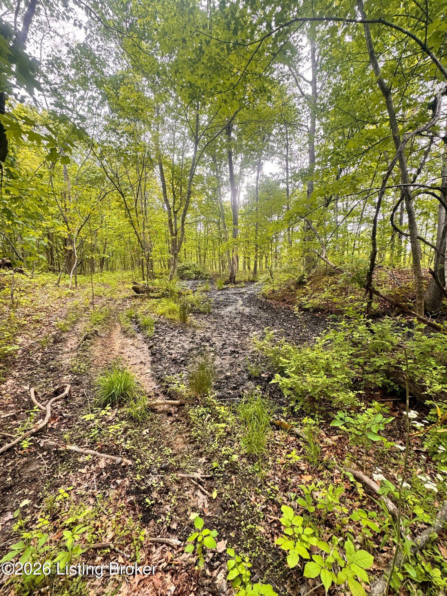 0 Bee Hollow Rd Property Photo 63