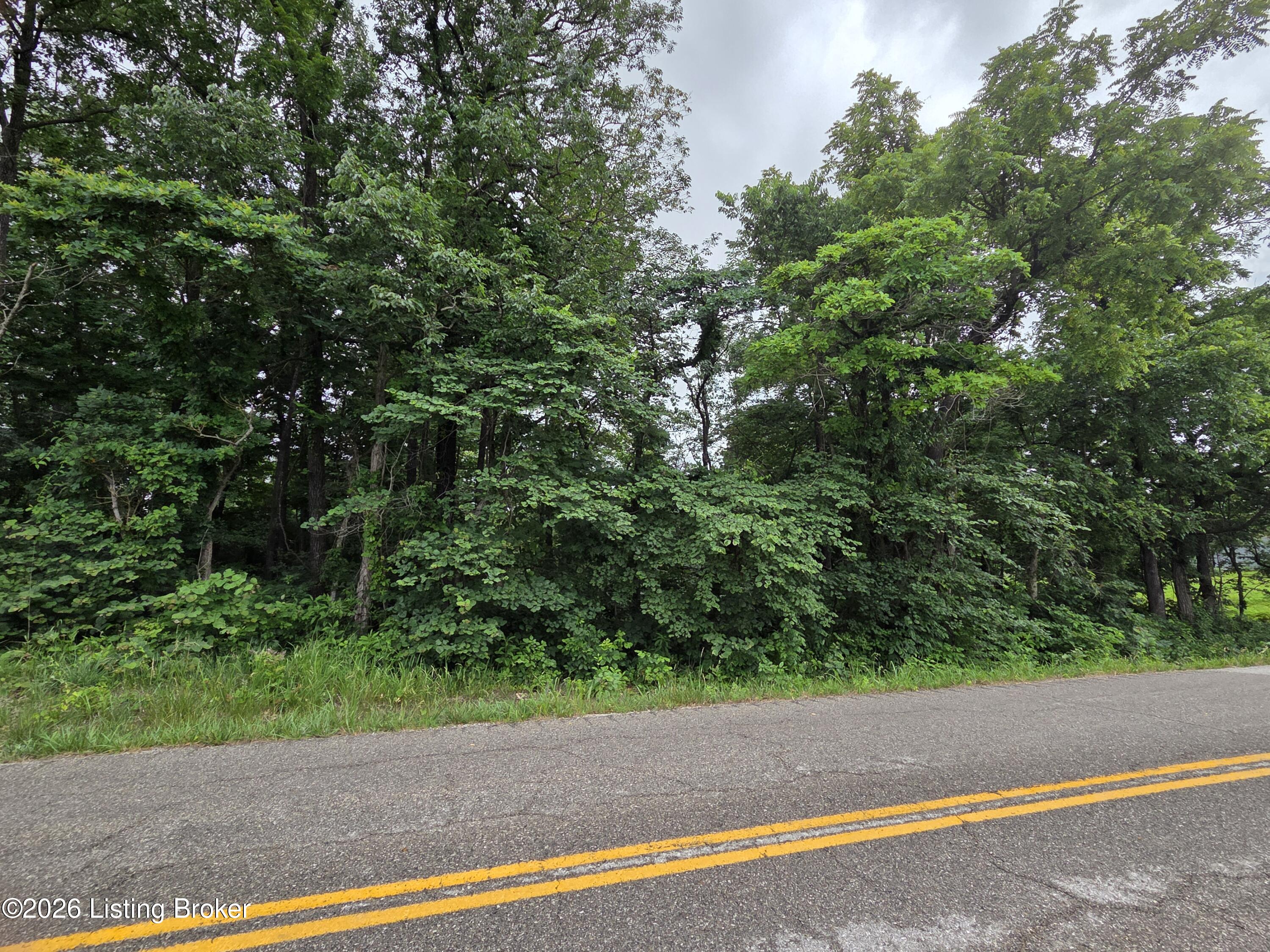3695 Cedar Flats Rd Property Photo 5