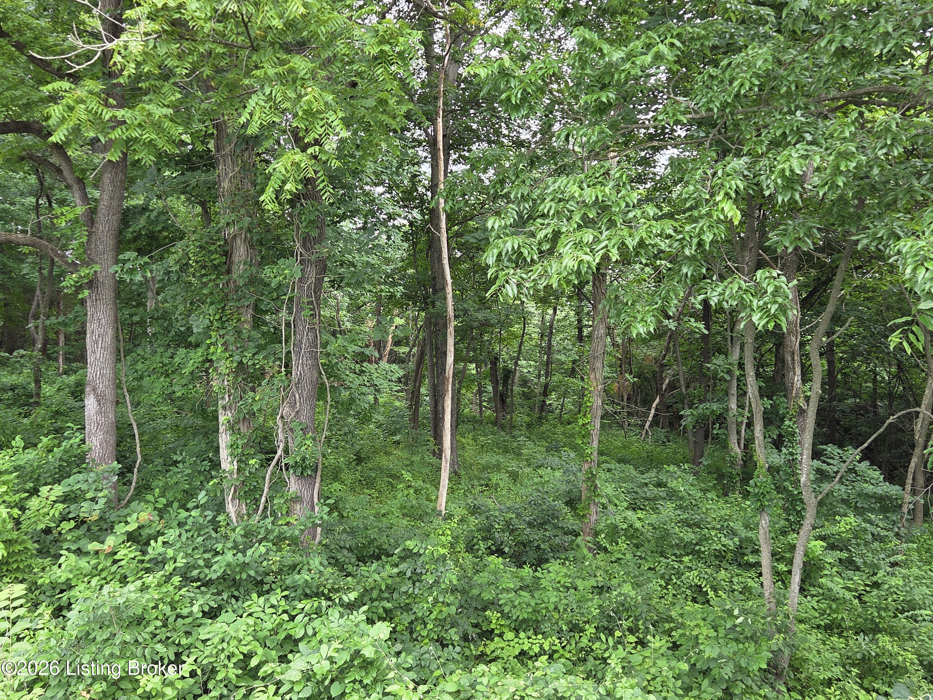 3695 Cedar Flats Rd Property Photo 6