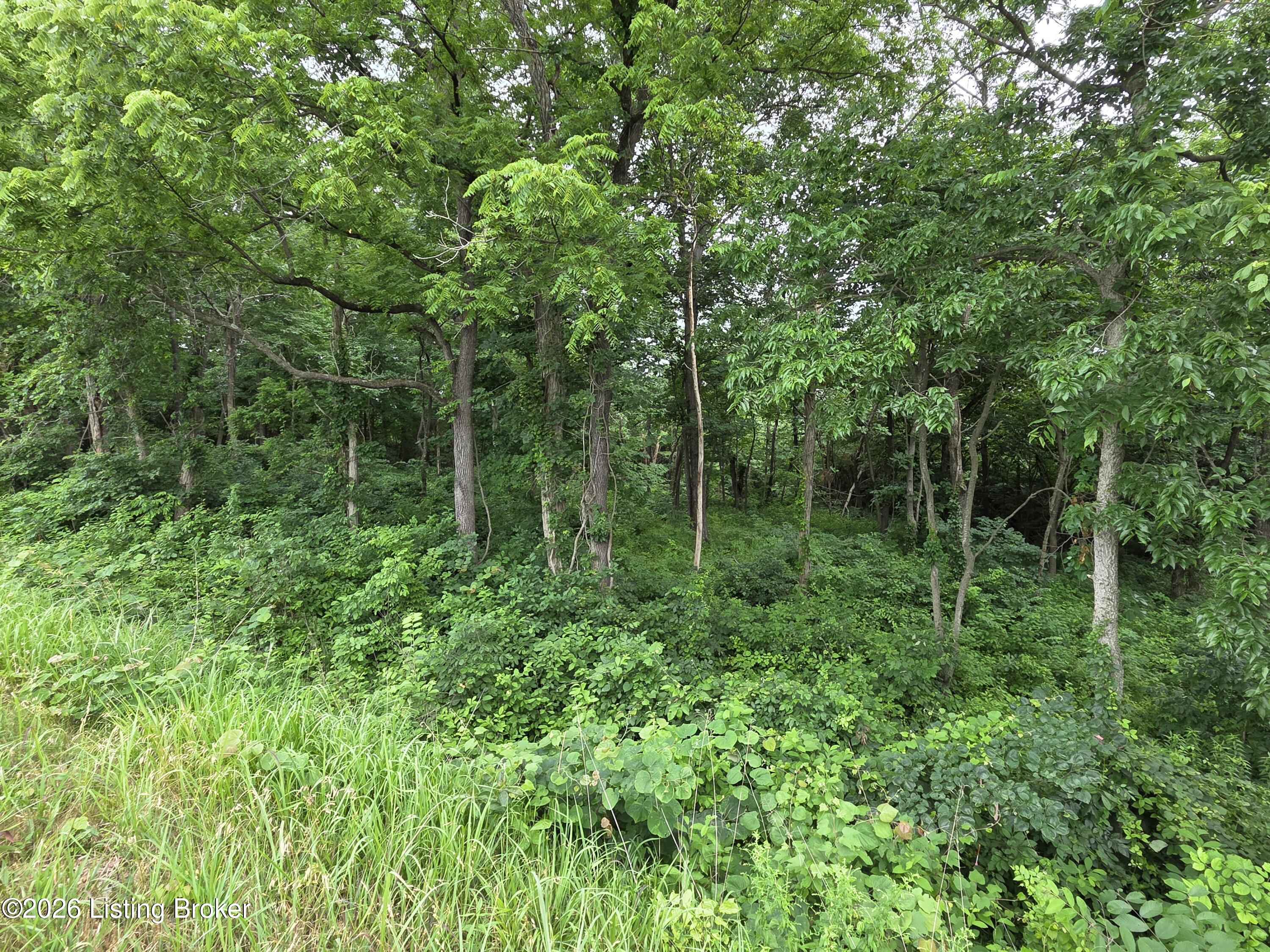 3695 Cedar Flats Rd Property Photo 7