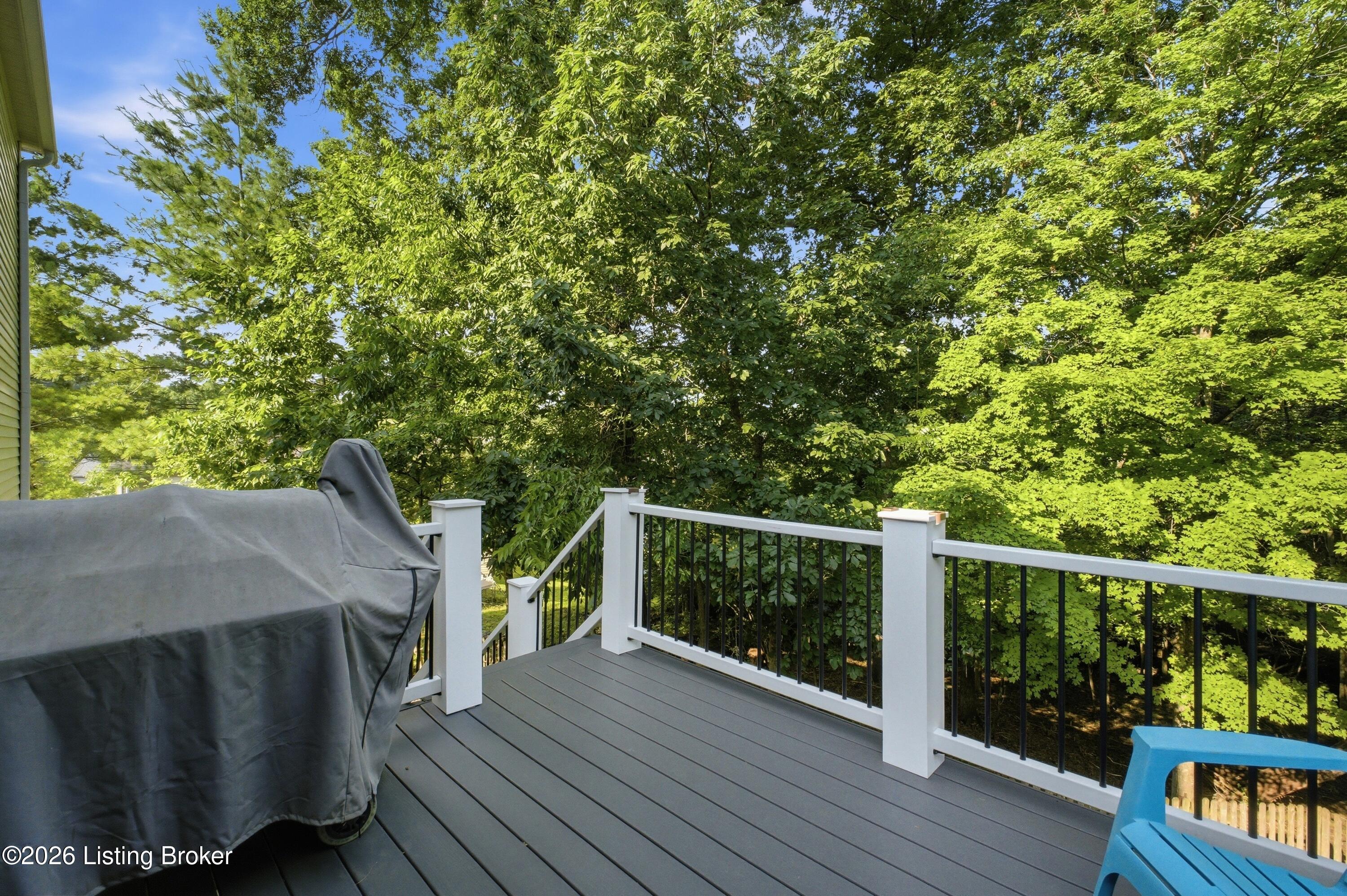 3100 Annadale Ct Property Photo 54