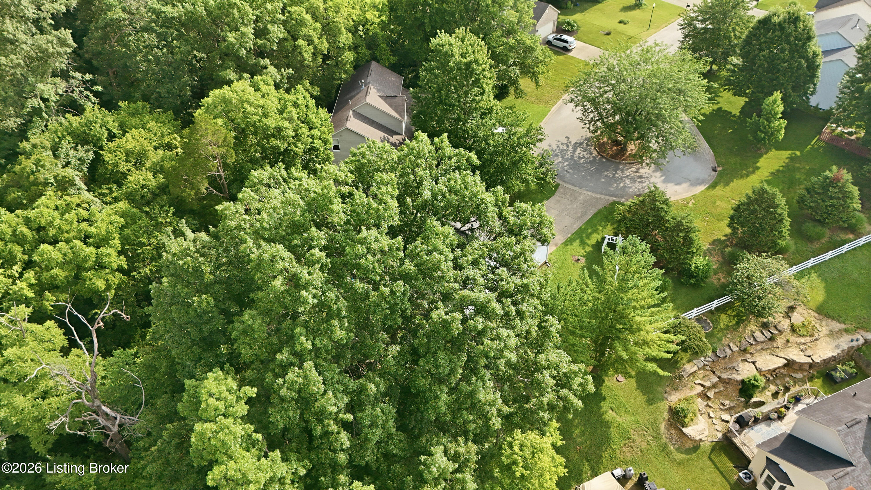3100 Annadale Ct Property Photo 59