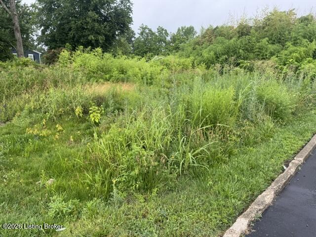 1161 Lone Oak Ave Property Photo 2