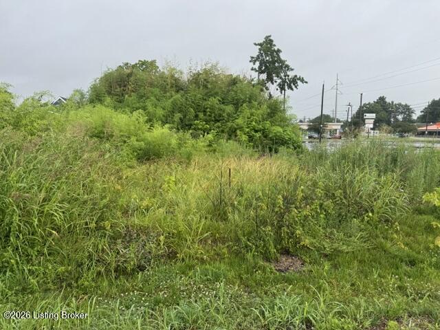 1161 Lone Oak Ave Property Photo 3
